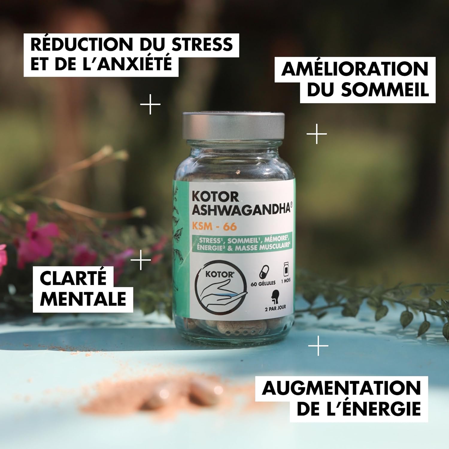 KOTOR ASHWAGANDHA KSM-66 – Natural Stress Relief, Restful Sleep, Concentration, Energy & Vitality – 5% Withanolides – Patented, Organic and Vegan – 60 Capsules – 1 Month – French Laboratory - Image 3