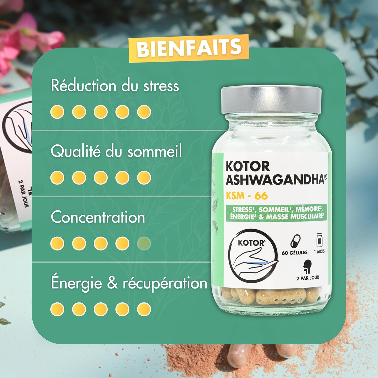 KOTOR ASHWAGANDHA KSM-66 – Natural Stress Relief, Restful Sleep, Concentration, Energy & Vitality – 5% Withanolides – Patented, Organic and Vegan – 60 Capsules – 1 Month – French Laboratory - Image 8