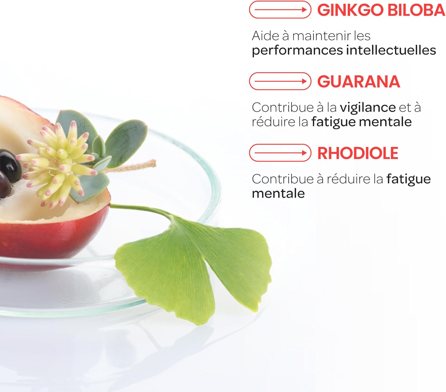 SUPERDIET - GINKGO BOOST ORGANIC - BIO Memory Stimulant - Vitality - Made in France - 20 ampoules of 15 ml - Image 5