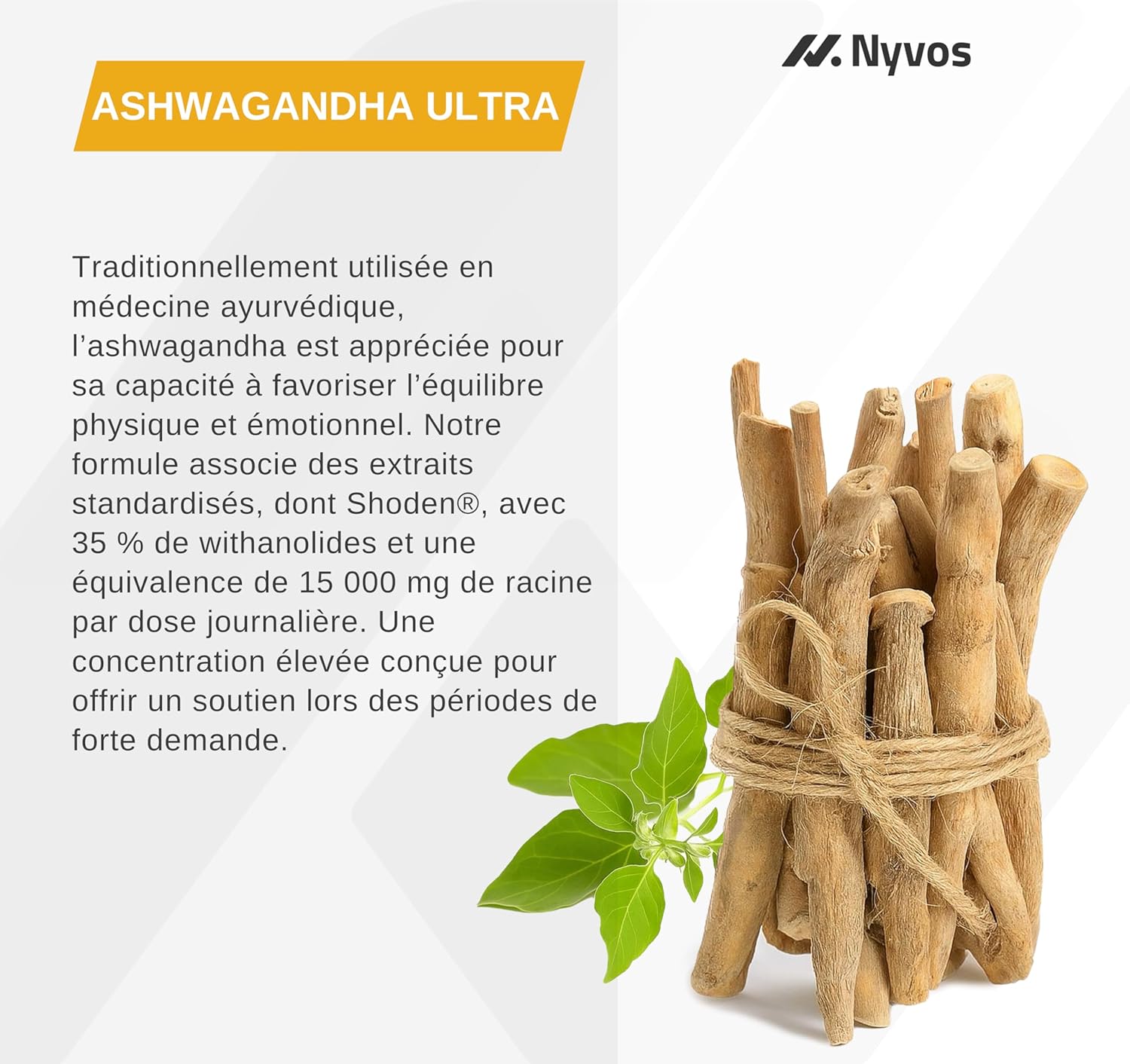 Ashwagandha Shoden Ultra 35% Withanolides - 15,000mg Equivalent | 7x More Concentrated Than Ashwagandha KSM-66 | Support Concentration, Deep Sleep & Energy | 120 Capsules - Nyvos - Image 7