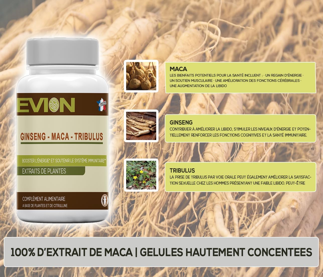EVION - Maca - Ginseng & Tribulus - Dietary supplement, BOOST ENERGY AND SUPPORT THE IMMUNE SYSTEM - 60 Capsules of 395mg - Image 6