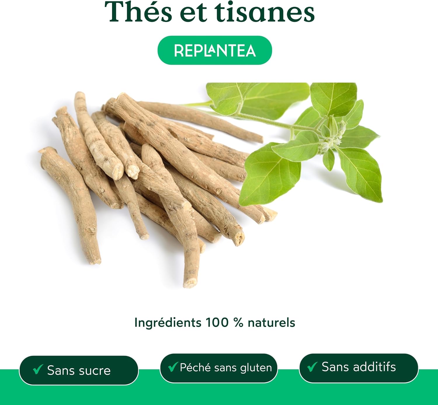 REPLANTEA Organic Ashwagandha Infusion 100g | Adaptogenic Herbal Tea for Stress and Anxiety | Natural Aid for Relaxation and Sleep | Withania Root Somnifera Bulk - Image 3