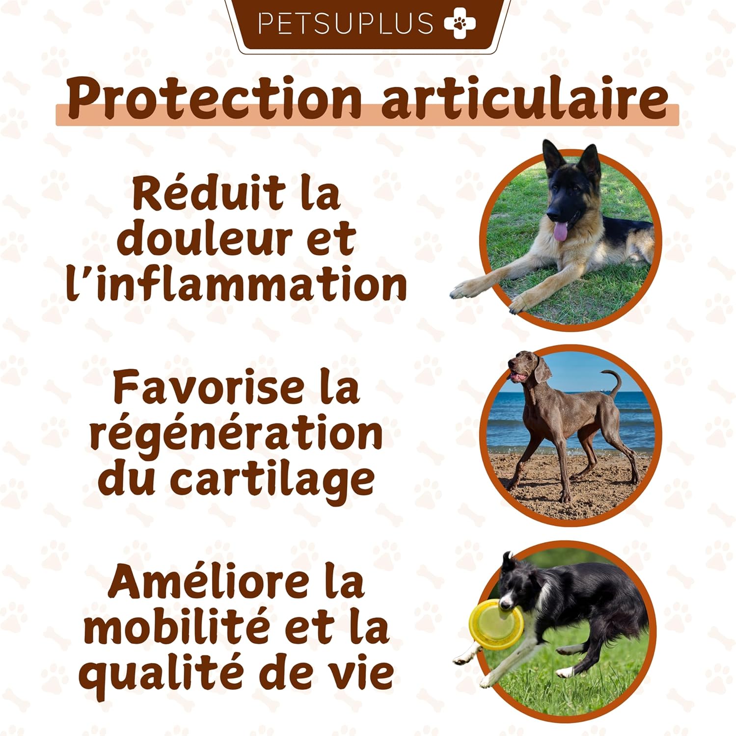 Dog Joint Treatment Supplement - Dog Joint Treatment - Green Dog Mussel, Chondroitin, Glucosamine, MSM, Collagen, Hyaluronic Acid - Anti Osteoarthritis - 120 Tablets - Image 4