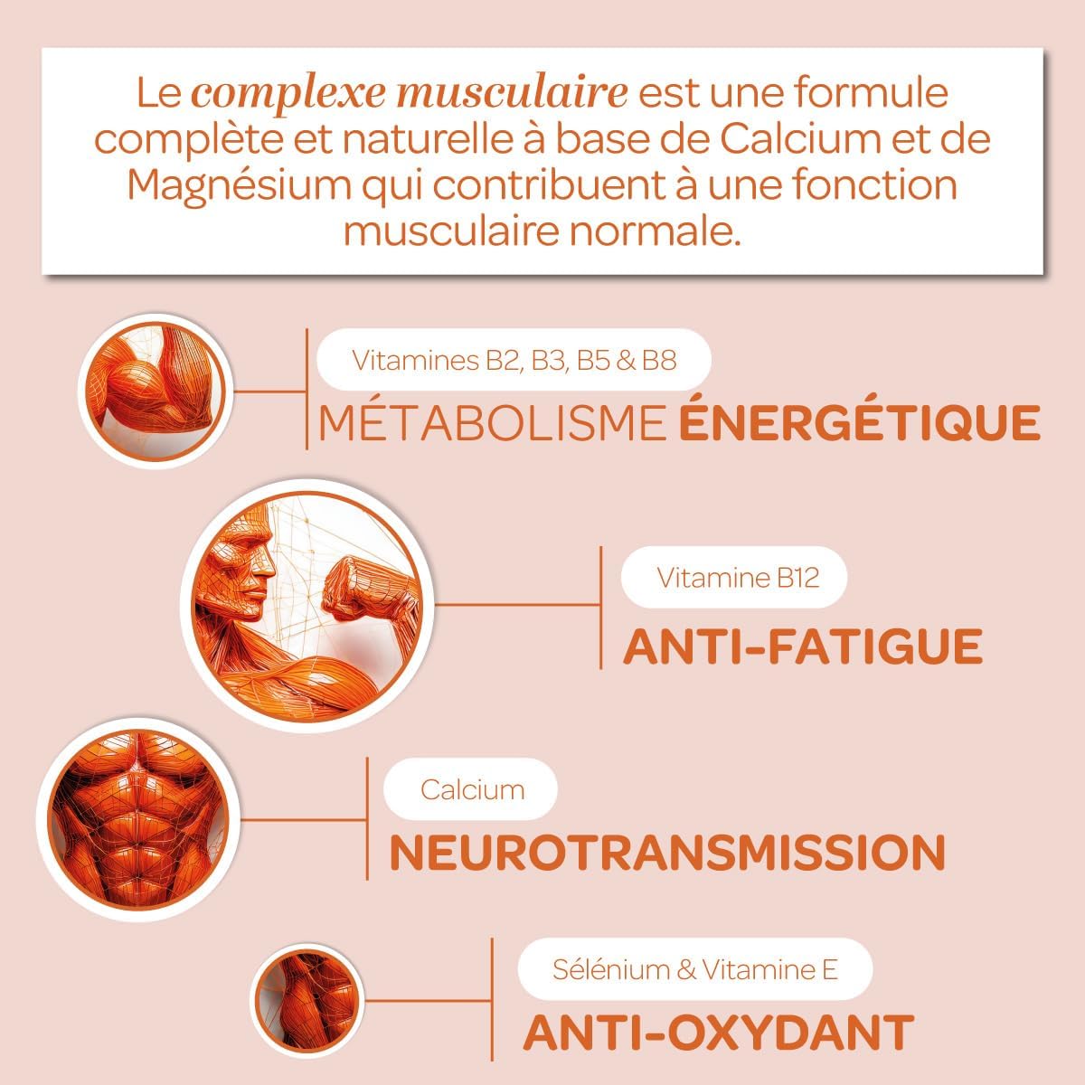 SUPERDIET - MARINE COLLAGEN - MUSCLE RECOVERY - Relaxing and relaxing - Anti-fatigue - Anti-oxidant - High in protein - Made in France - 240g - Image 5