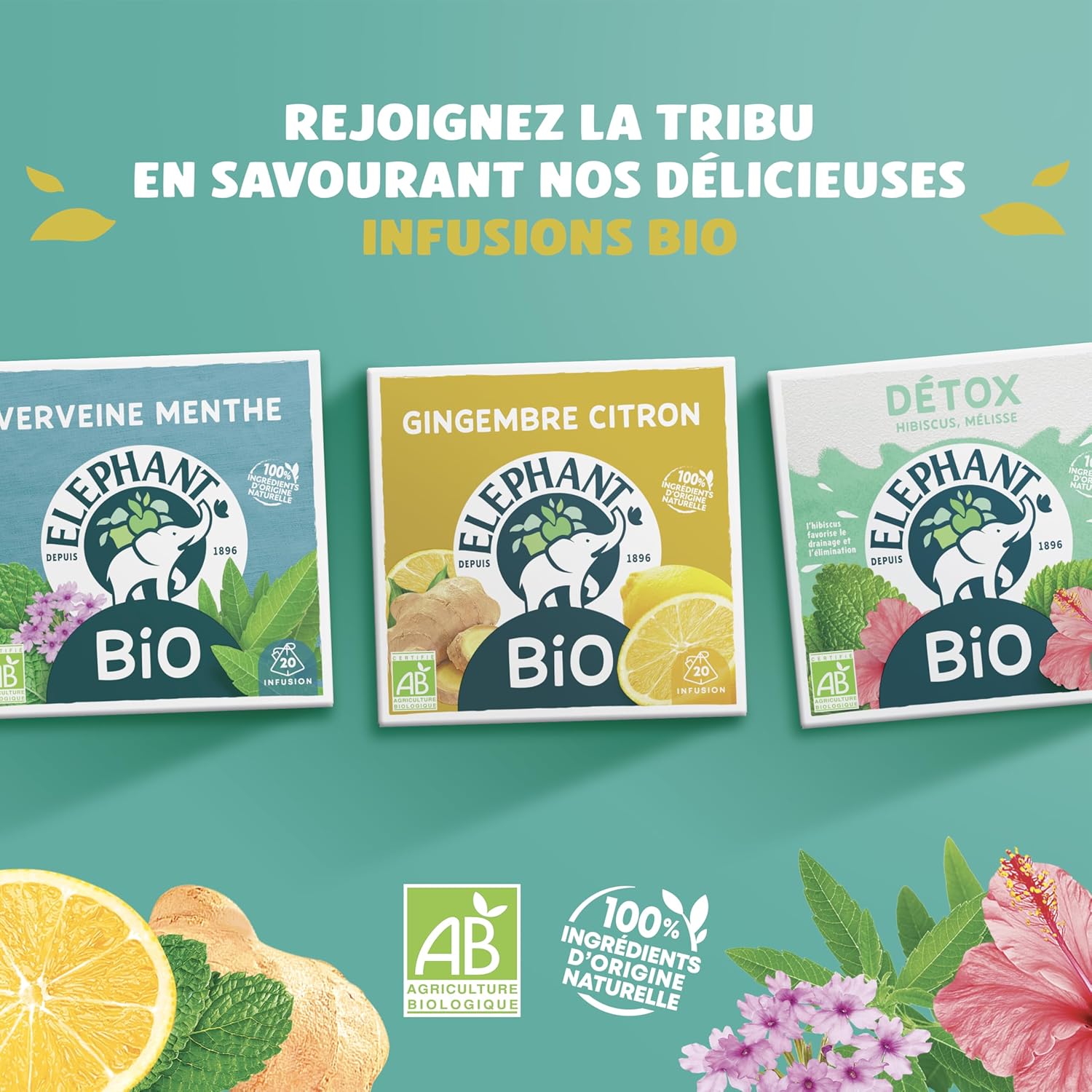 Elephant, Flavored Infusion, Lemon Verbena and Chamomile Taste, Rainforest Alliance Certified, 100% Natural Origin Ingredients, 20 Pyramid Sachets - Image 4