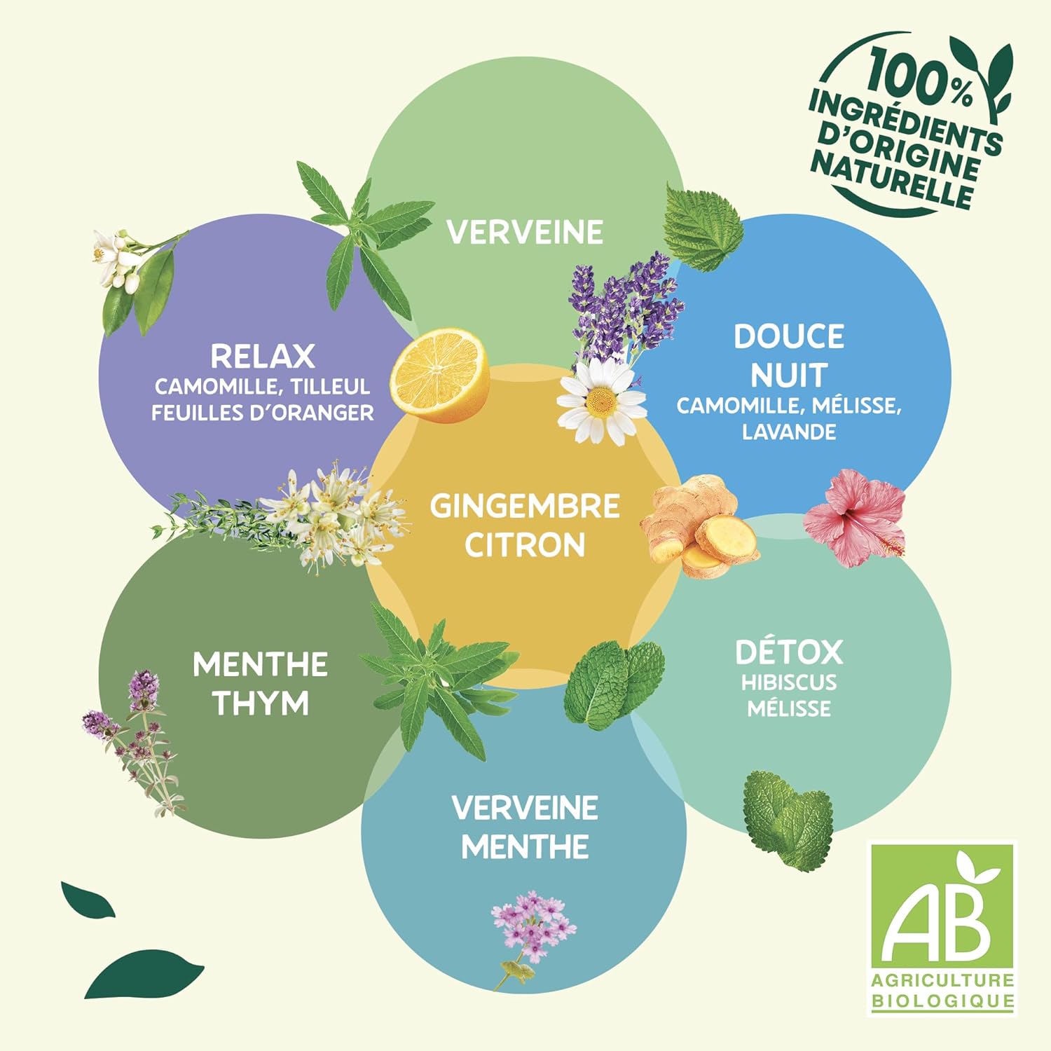 Elephant, Flavored Infusion, Lemon Verbena and Chamomile Taste, Rainforest Alliance Certified, 100% Natural Origin Ingredients, 20 Pyramid Sachets - Image 5