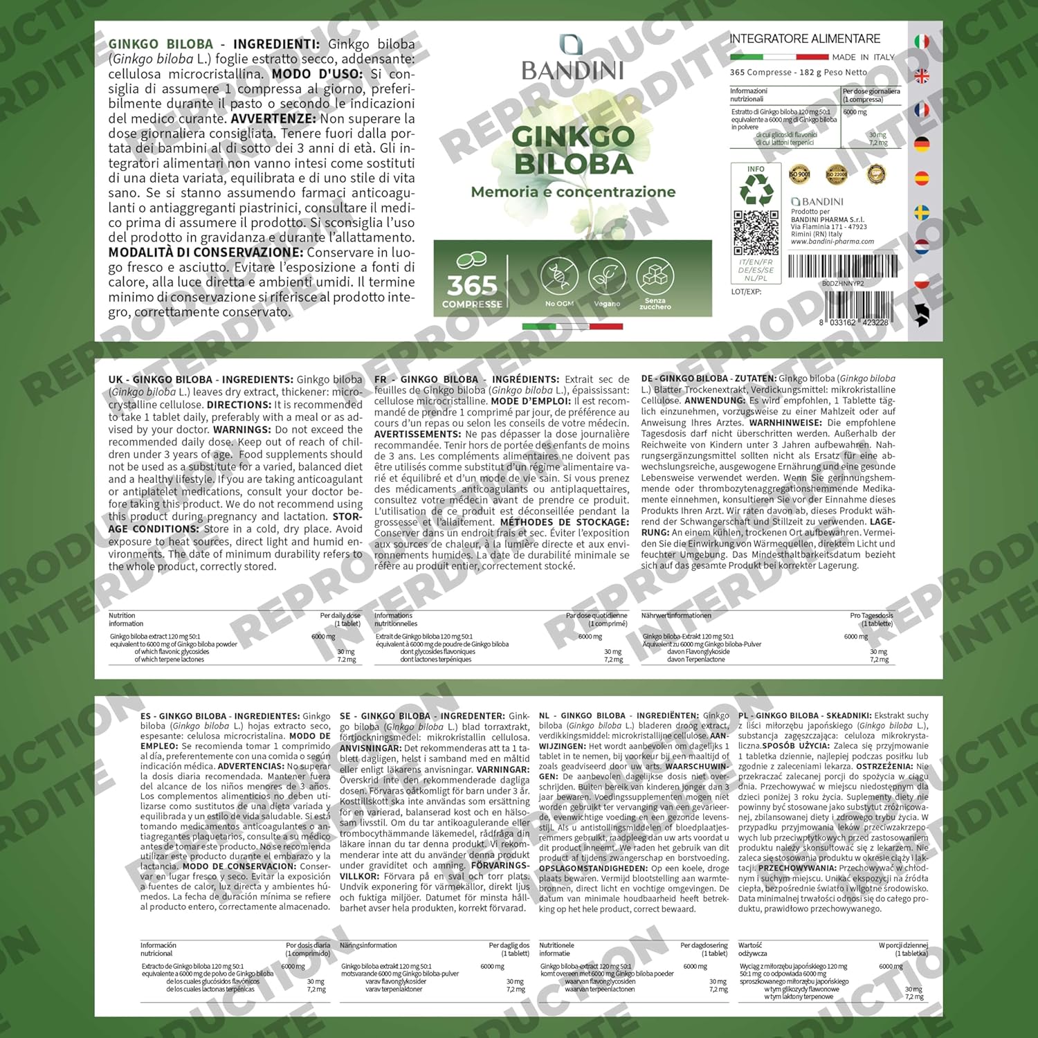 Bandini Ginkgo Biloba 6000mg 365 Tablets (1 year) 50:1 Pure Ginko Biloba Extract with Flavones Glycosides and Terpenes Lactones, High Dose Dietary Supplement, Nootropic, Non-GMO, 100% Vegan - Image 6