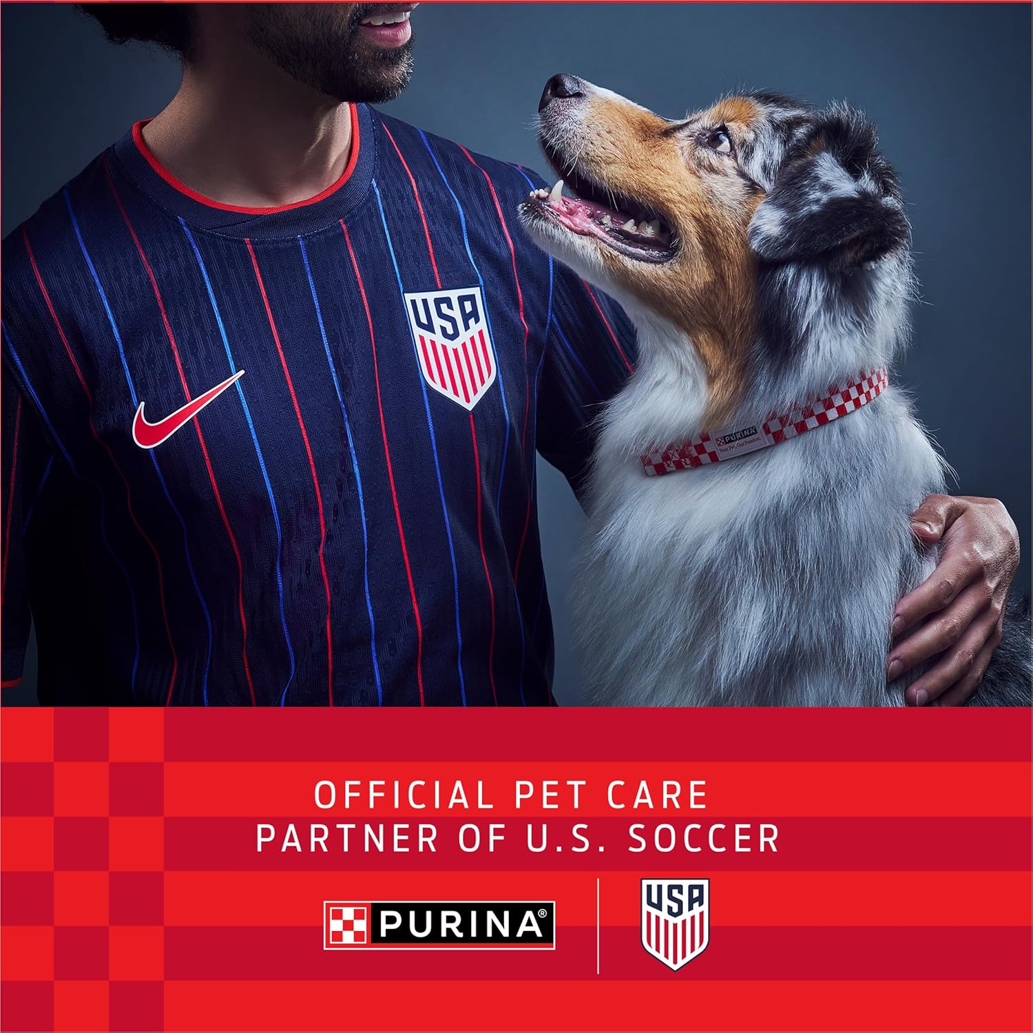 Purina Fortiflora Canine Veterinary Diet, 30 Sachets per Box - Image 3