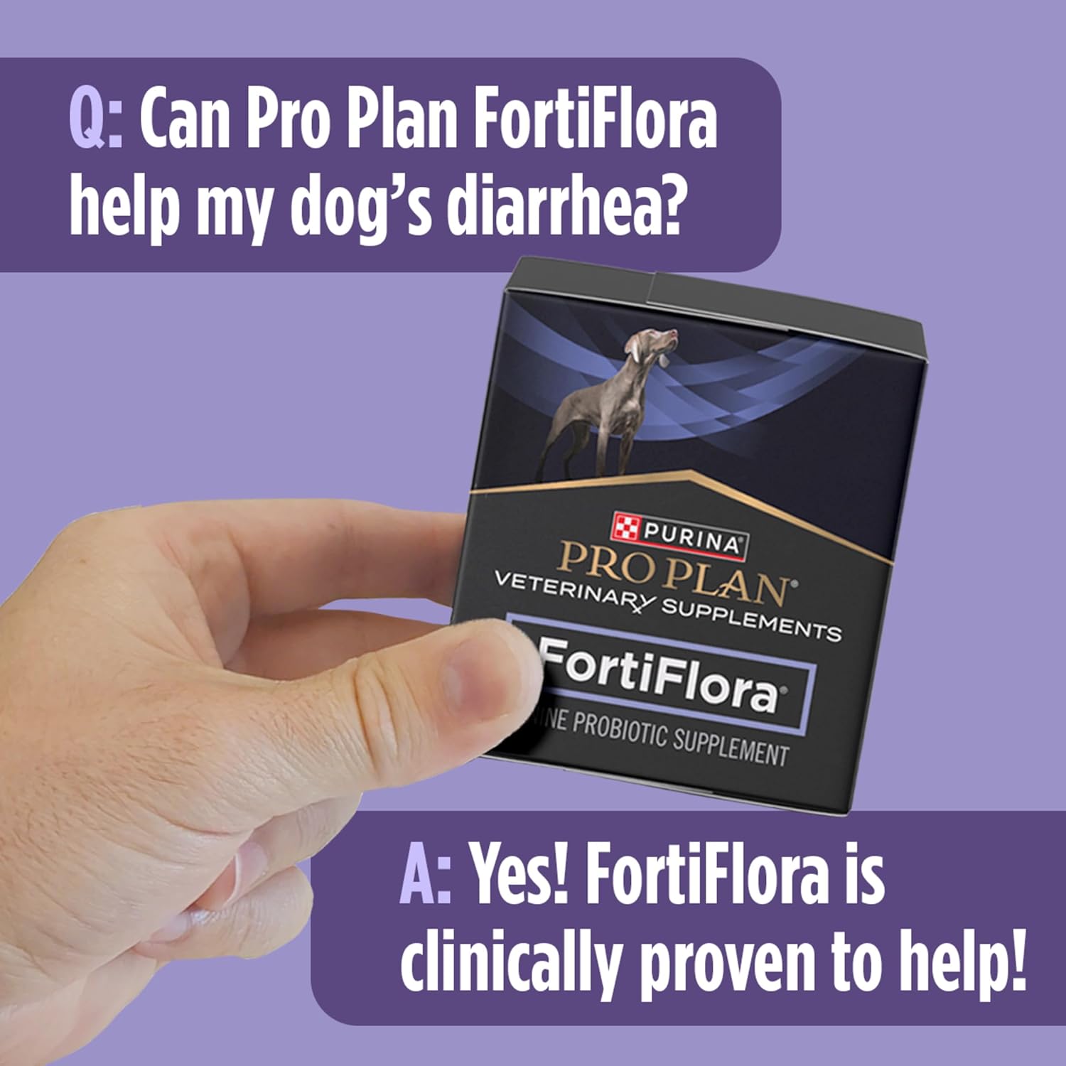 Purina Fortiflora Canine Veterinary Diet, 30 Sachets per Box - Image 10