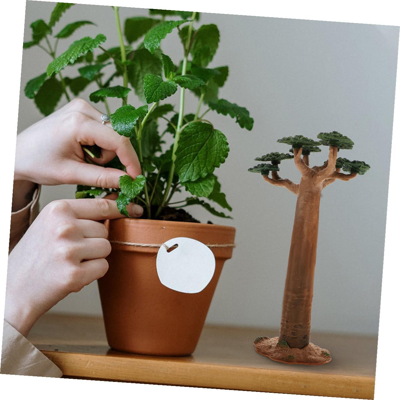 COHEALI Modèle Mini Baobab Artificiel en PVC, Décoration Stable et Résistante pour Table de Maquettes ou Décoration Intérieure, Lot de 2 Pièces Fond Plat - Image 7