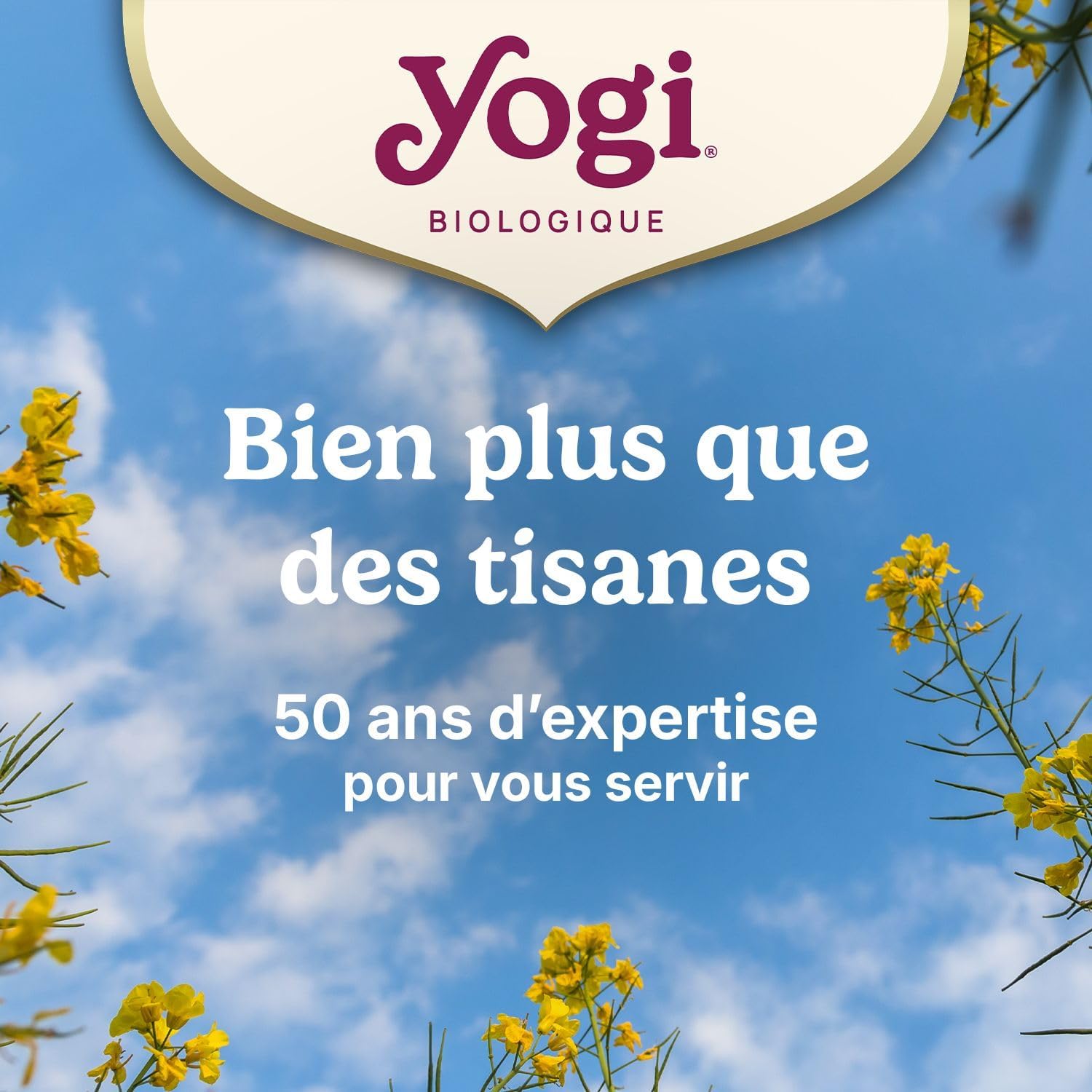 YOGI TEA – Bonne Nuit Bio – Relaxing Infusion Without Caffeine – Blend of Fennel, Chamomile Flowers & Valerian Root – Relaxation & Sleep – 17 Sachets - Image 4