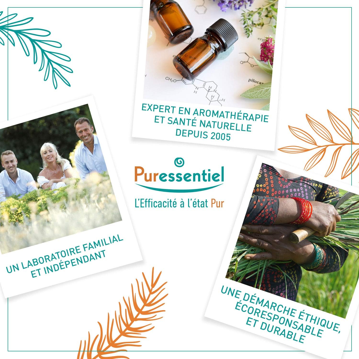 Puressentiel – Roman Chamomile Essential Oil – Contributes to relaxation – 100% pure and natural – HEBDD – Chamaemelum nobile – 5 ml - Image 5
