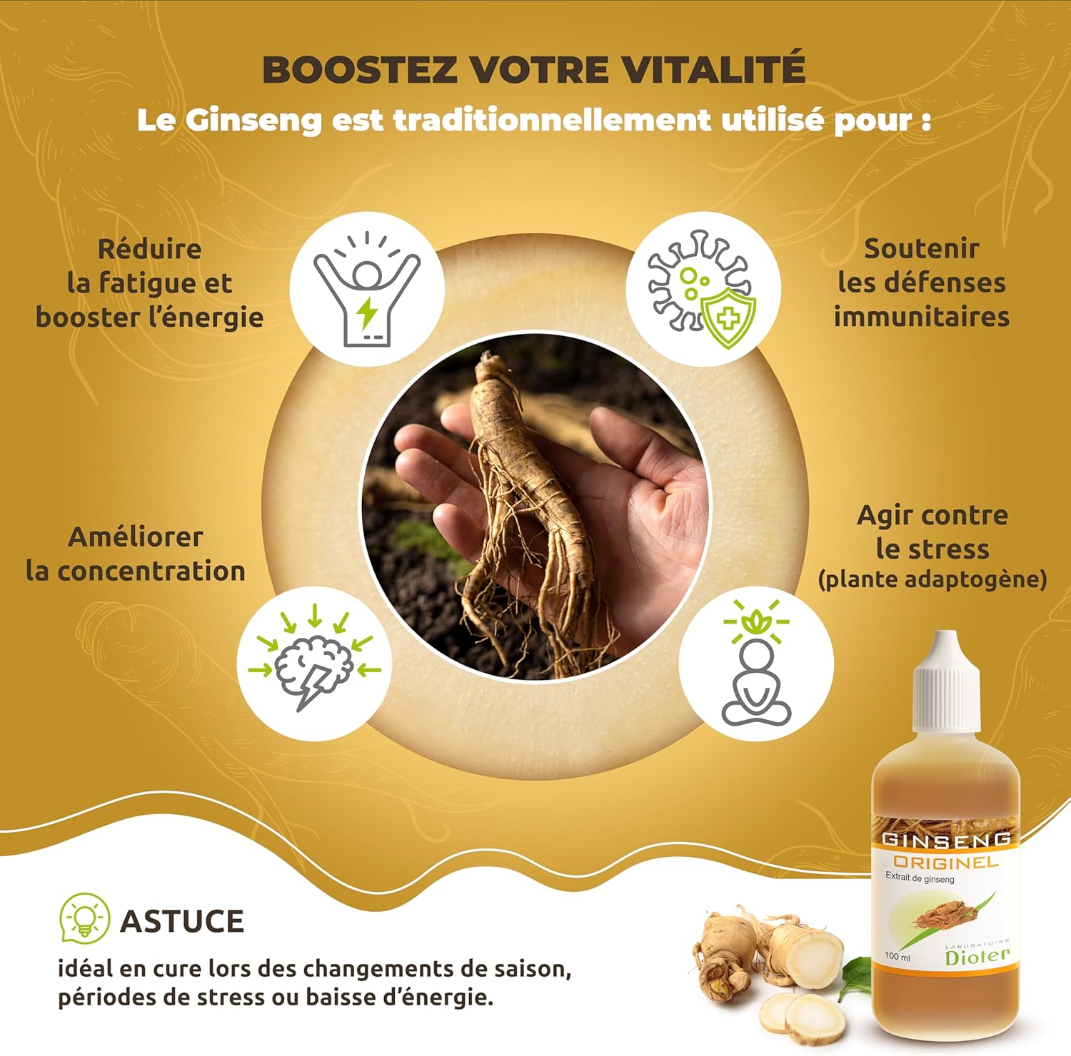 Ginseng Original Ginseng Extract 100 ml – Pure Liquid Extract – Vitality, Energy & Immunity – Fatigue – Alcohol Free – Made in France – Vitamin B6 - Image 2