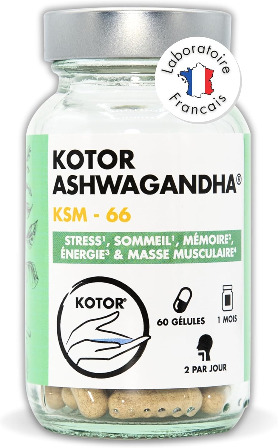 KOTOR ASHWAGANDHA KSM-66 – Natural Stress Relief, Restful Sleep, Concentration, Energy & Vitality – 5% Withanolides – Patented, Organic and Vegan – 60 Capsules – 1 Month – French Laboratory - Image 2