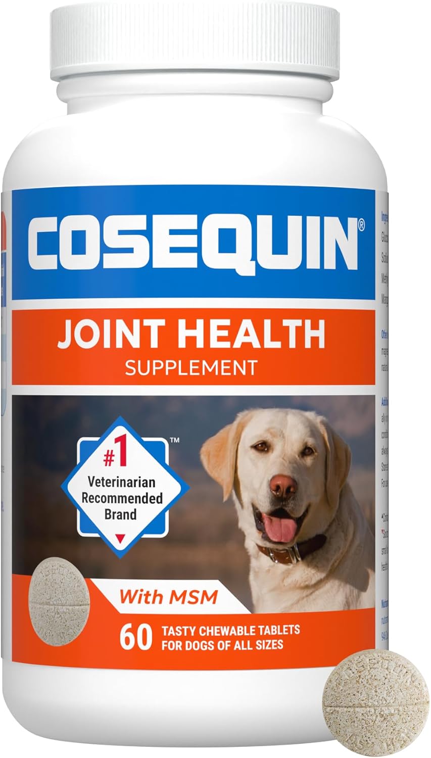 Nutramax -Cosequin 070077 Cosequin DS Plus MSM 60 Counting - Image 2