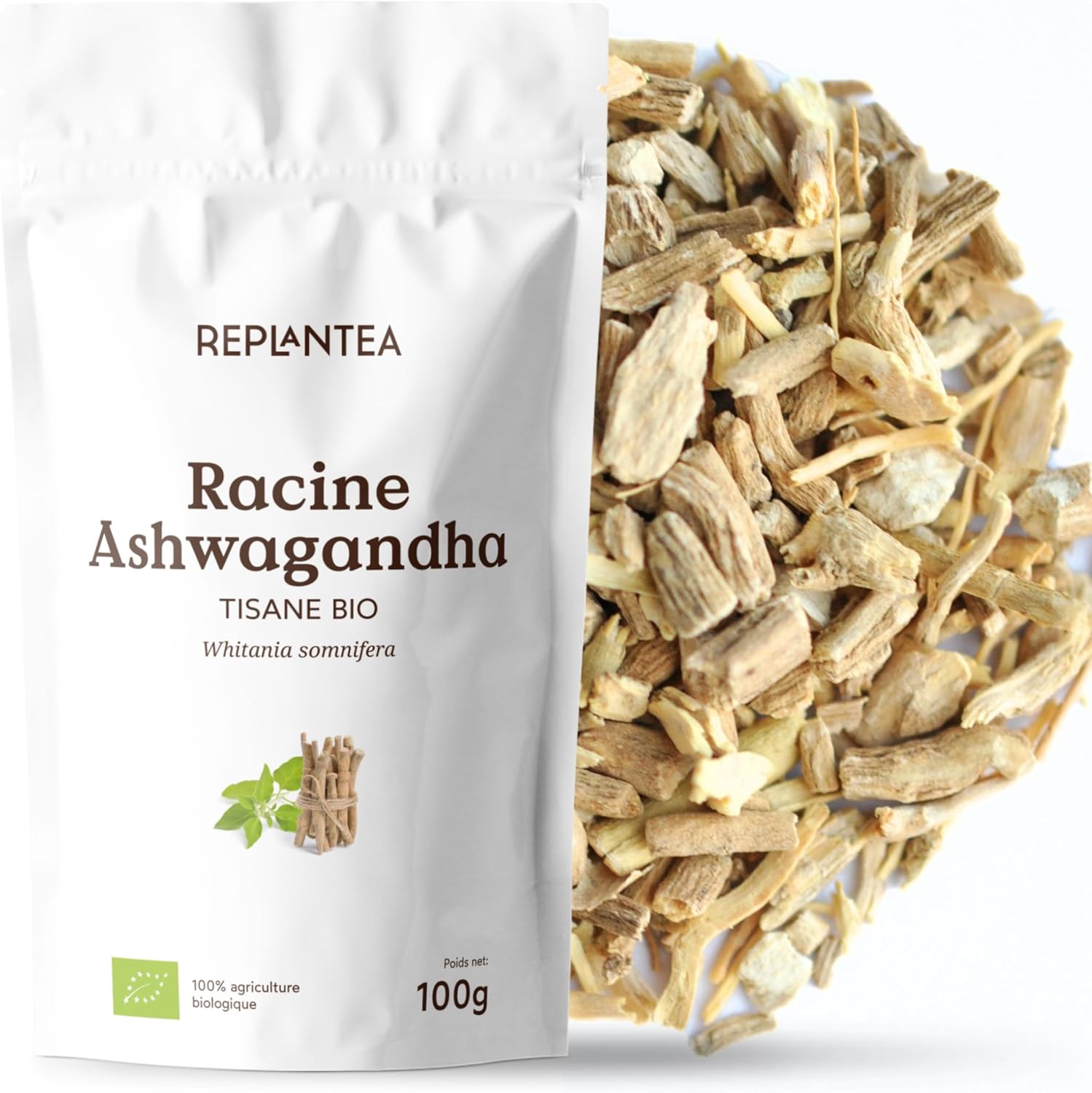 REPLANTEA Organic Ashwagandha Infusion 100g | Adaptogenic Herbal Tea for Stress and Anxiety | Natural Aid for Relaxation and Sleep | Withania Root Somnifera Bulk - Image 2
