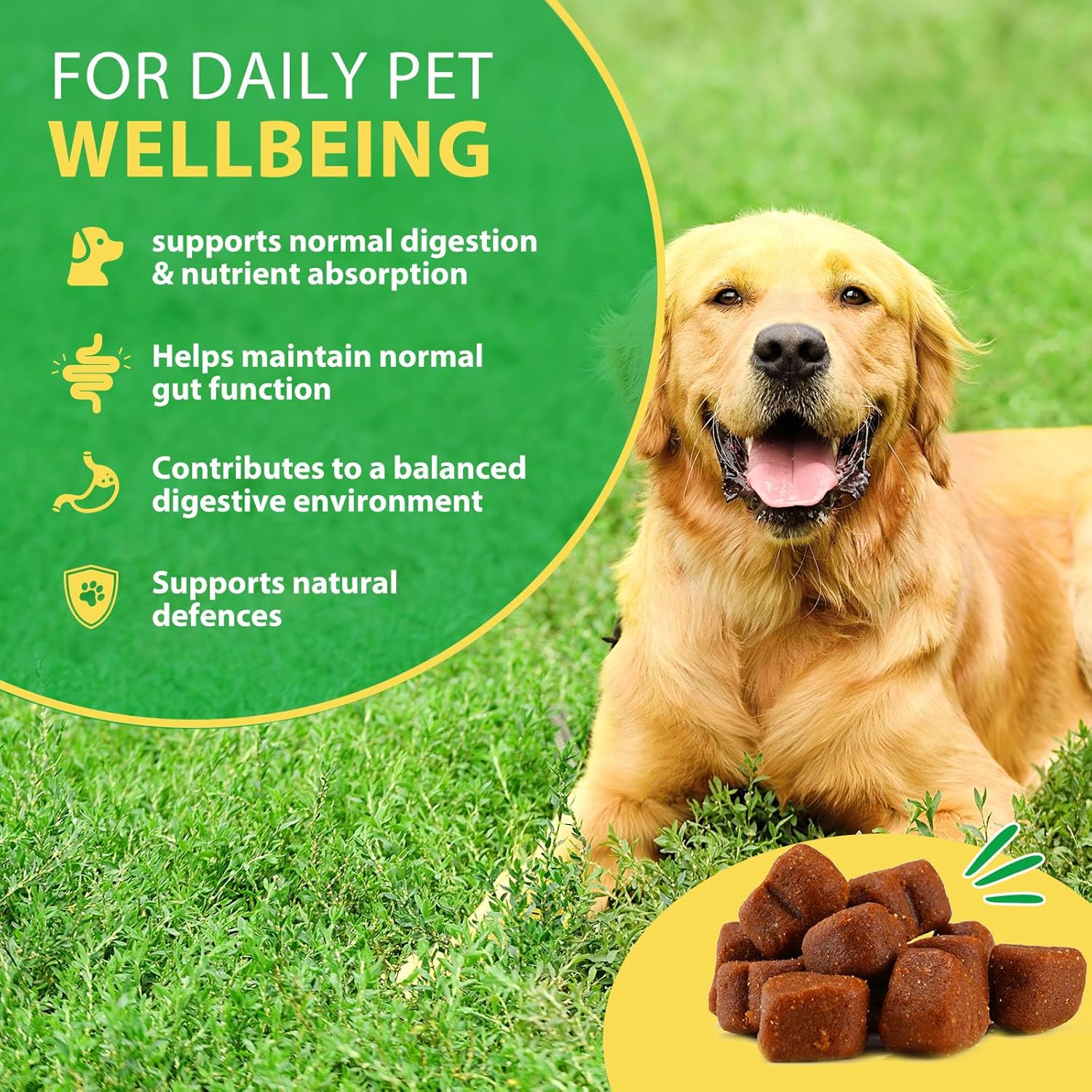 Dog Probiotic - 30 Chew Probiotics for Dogs, Dog Food Supplement for Digestion, Promote Intestinal Health, Gas Relief and Constipation, Duck Flavour - Image 3