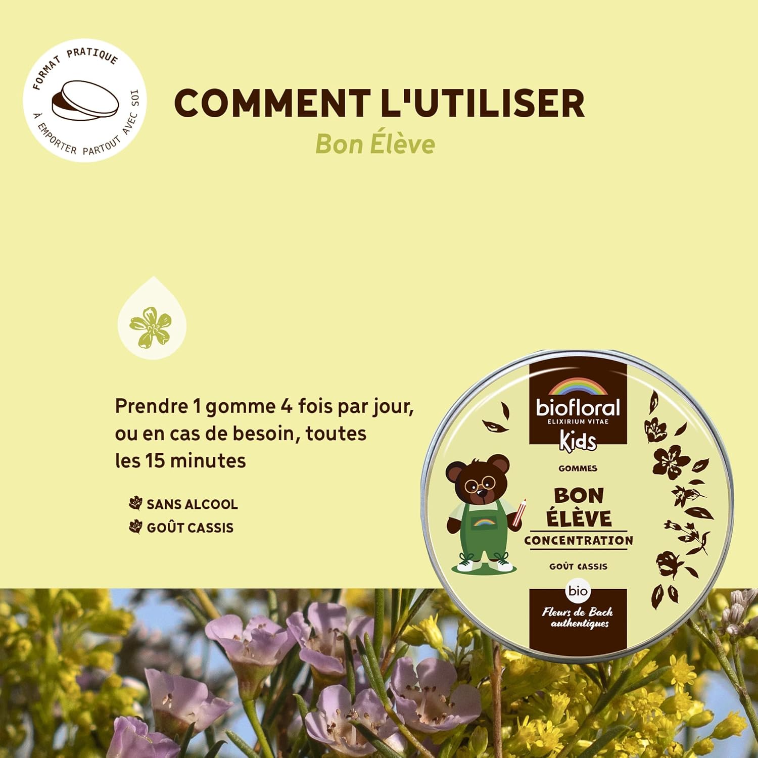 BIOFLORAL KIDS - Bon École - Organic - Concentration - Authentic Bach Flowers - Alcohol Free - 45g - Image 5