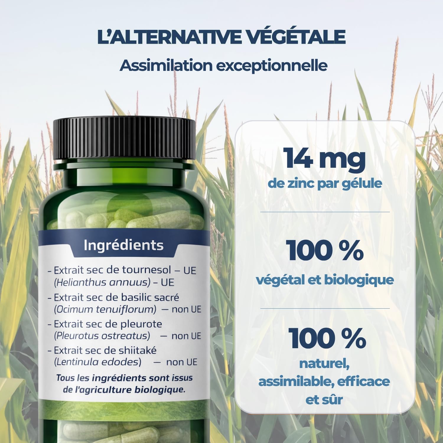 Biophénix - Organic Zinc 30 capsules - Exclusive Complete Extraction Process - 100% Natural Plant-Based Food Supplement - 0% Excipien - New Formula - Made in France - Vegan - Image 6