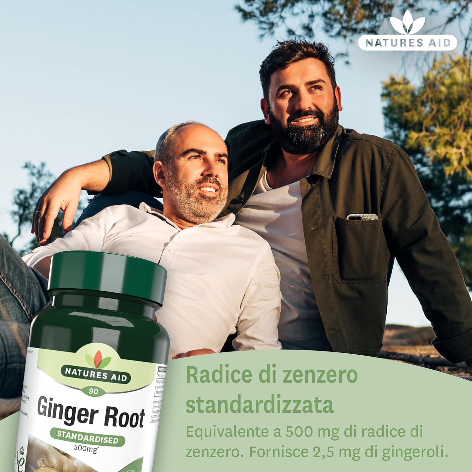 Natures Aid Ginger Root 500mg of, 90 Tablets (Plant-Based Dietary Supplement, Providing Gingerols, Vegan Society Approved, Made in UK) - Image 3