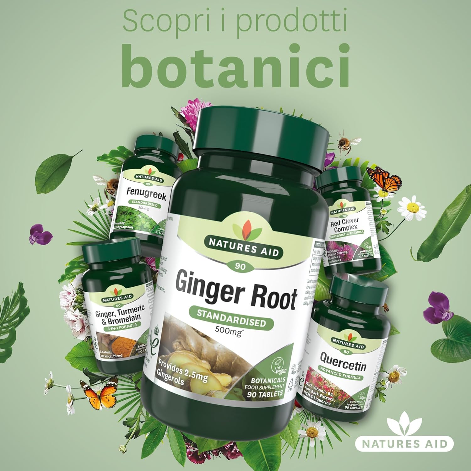 Natures Aid Ginger Root 500mg of, 90 Tablets (Plant-Based Dietary Supplement, Providing Gingerols, Vegan Society Approved, Made in UK) - Image 6