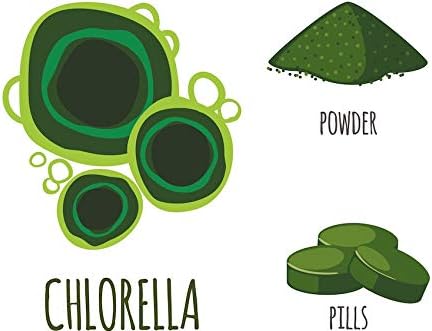 Spirulina & Chlorella Powder – 100g - Image 7