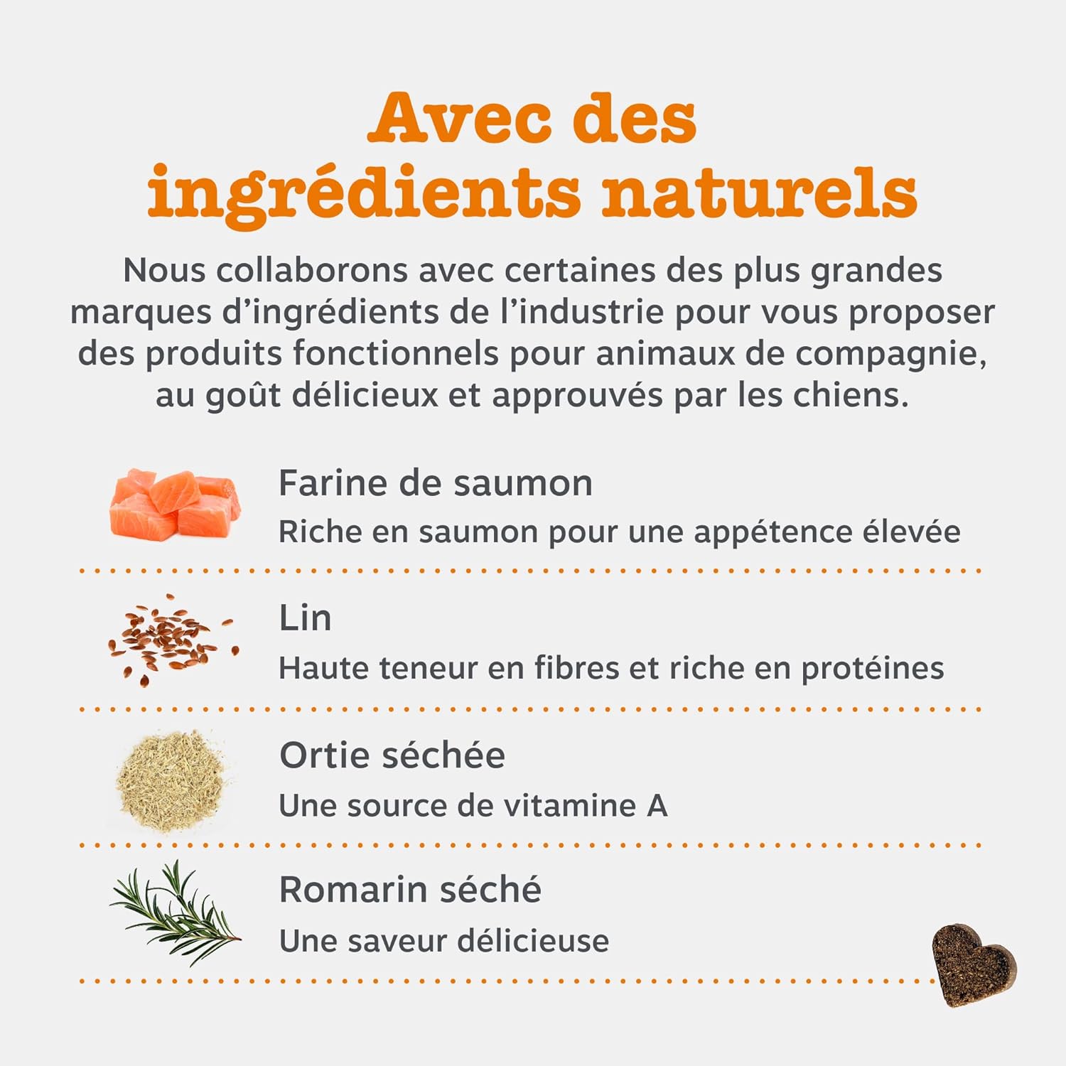 Zesty Paws Aller-Immune Dog Bites | Immune Support, Skin Care | Dry & Itchy Skin | Salmon Oil, Postbiotics, Probiotics | Daily Use | 90 Bites - Image 6