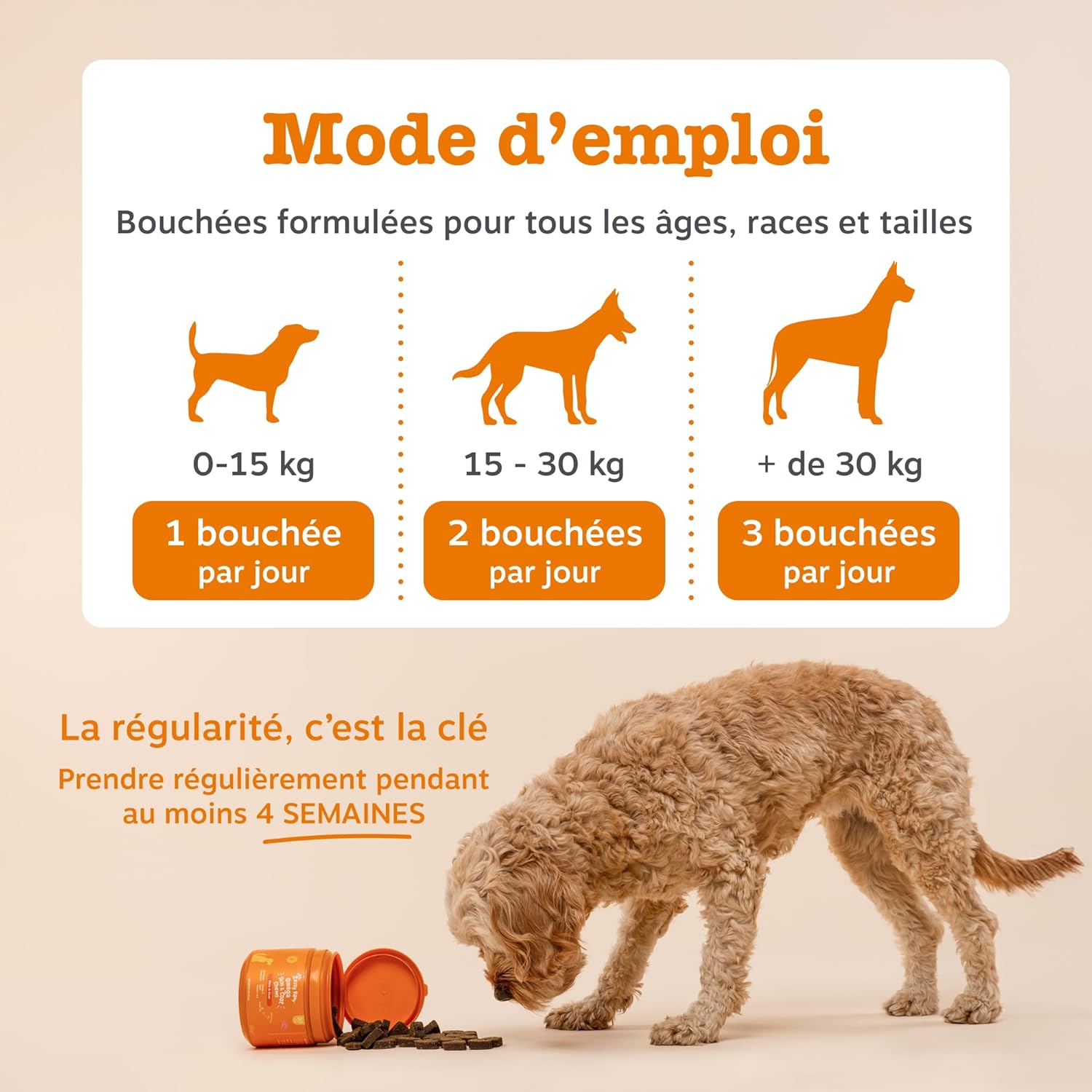 Zesty Paws Aller-Immune Dog Bites | Immune Support, Skin Care | Dry & Itchy Skin | Salmon Oil, Postbiotics, Probiotics | Daily Use | 90 Bites - Image 8