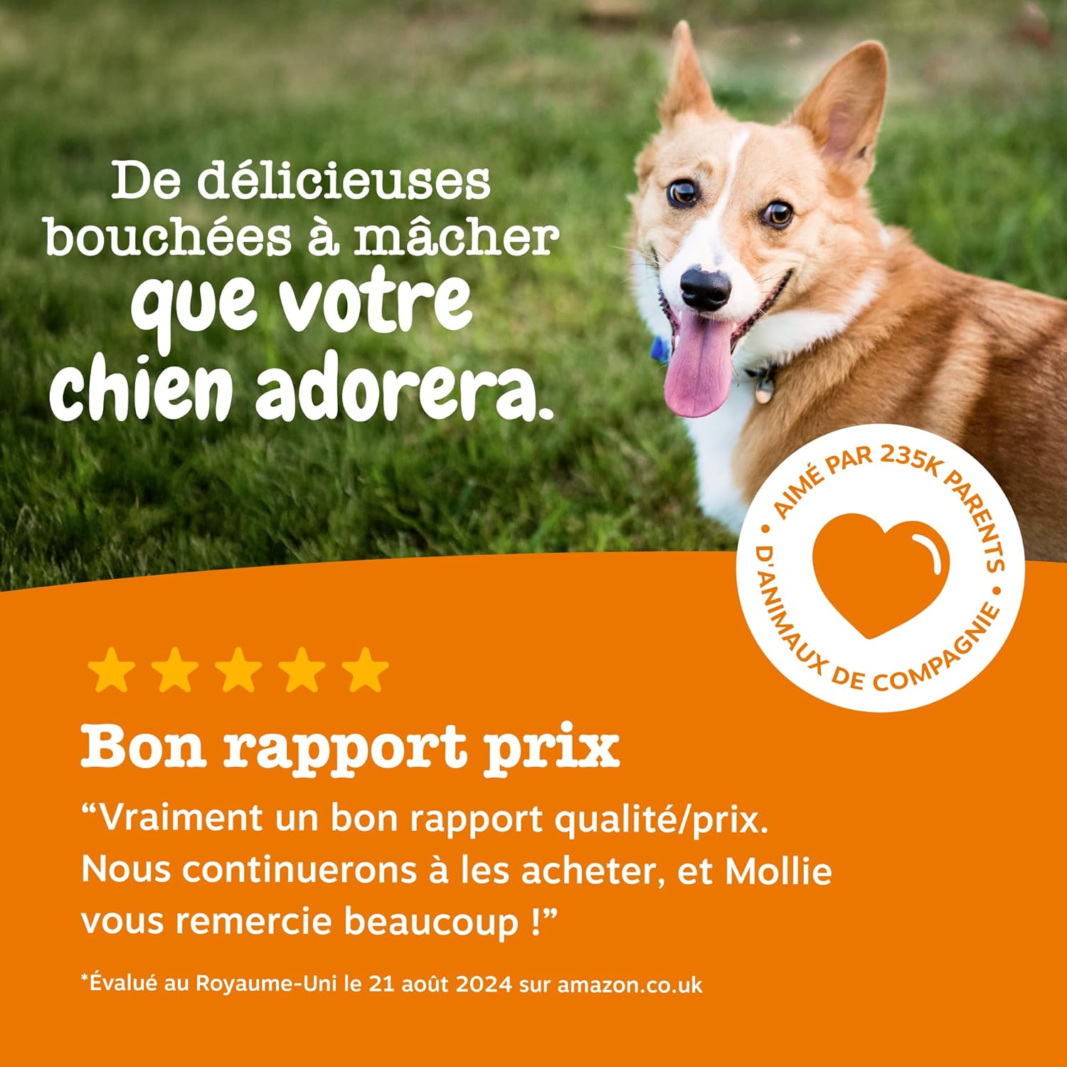 Zesty Paws Aller-Immune Dog Bites | Immune Support, Skin Care | Dry & Itchy Skin | Salmon Oil, Postbiotics, Probiotics | Daily Use | 90 Bites - Image 9