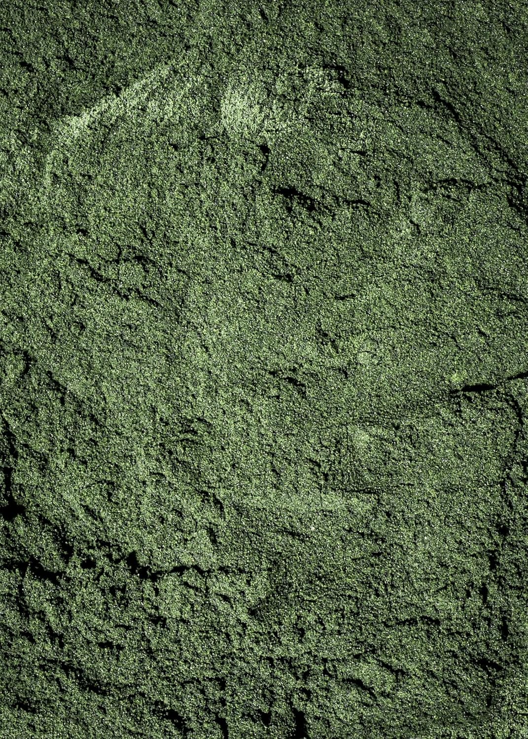 KoRo - Spirulina powder organic 500g - Image 4