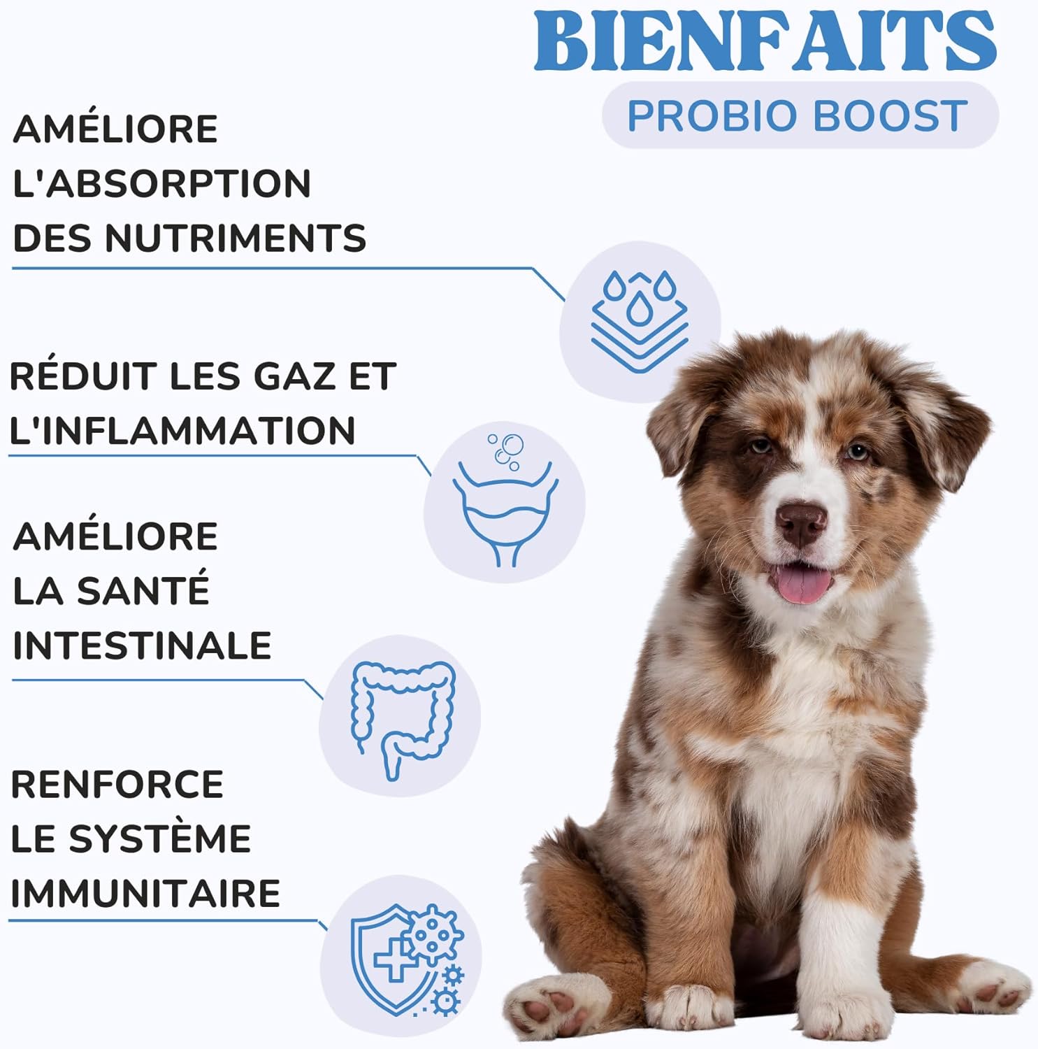 Dog Probiotic for Gut Health and Nutrient Absorption, Cat Probiotic with 1 Billion CFUs to Reduce Inflammation, Gas and Strengthen the Immune System - Image 3