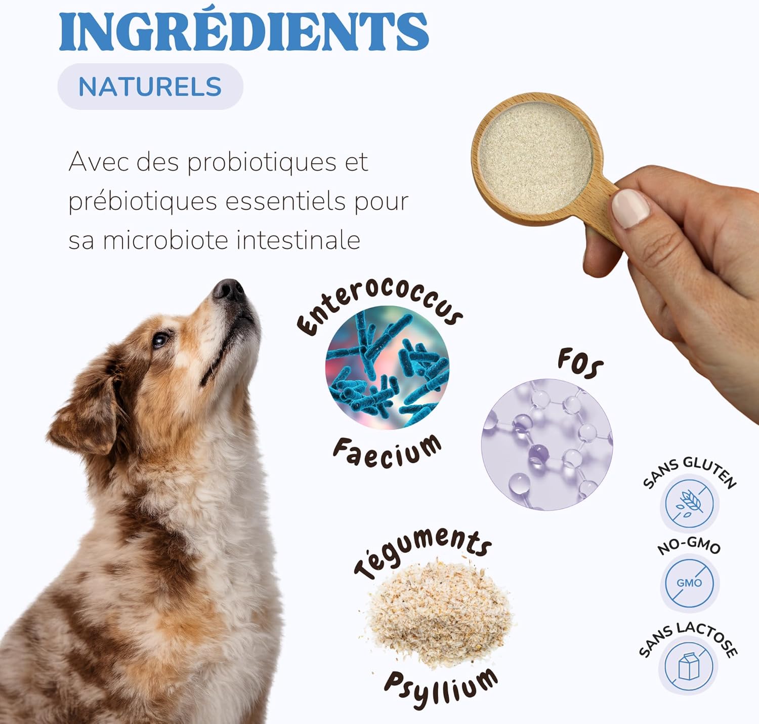 Dog Probiotic for Gut Health and Nutrient Absorption, Cat Probiotic with 1 Billion CFUs to Reduce Inflammation, Gas and Strengthen the Immune System - Image 4