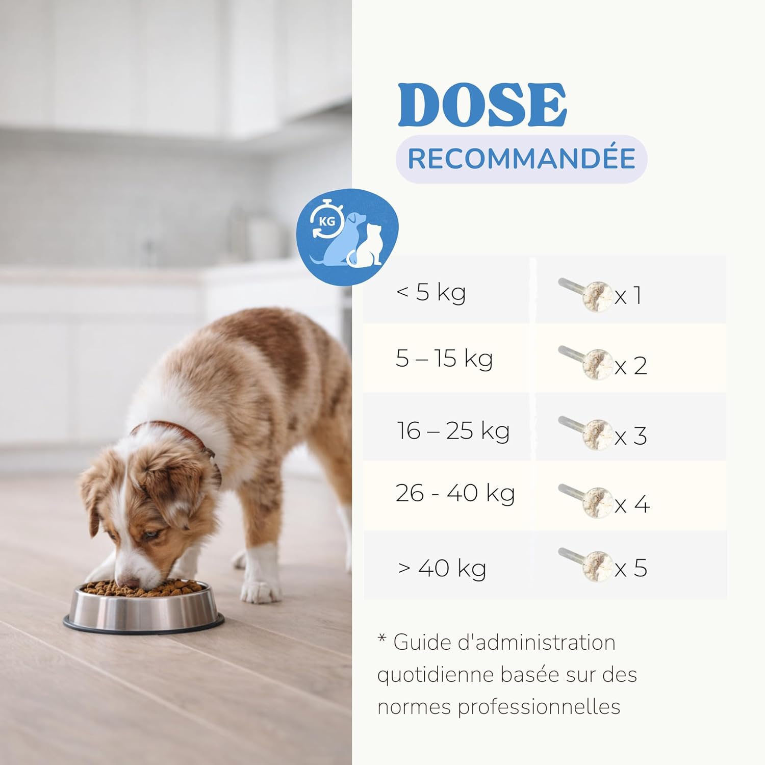 Dog Probiotic for Gut Health and Nutrient Absorption, Cat Probiotic with 1 Billion CFUs to Reduce Inflammation, Gas and Strengthen the Immune System - Image 5