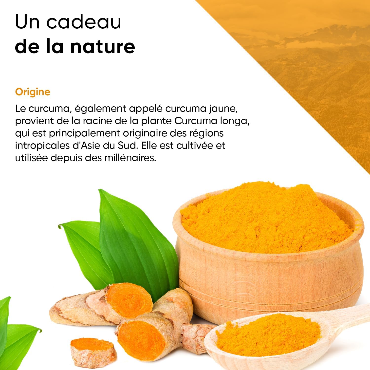 Turmeric Forte 365 Vegan Capsules 4,500 mg per daily dose with black pepper pill box included 2 months reserve high dosage pure formula controlled quality - Image 7