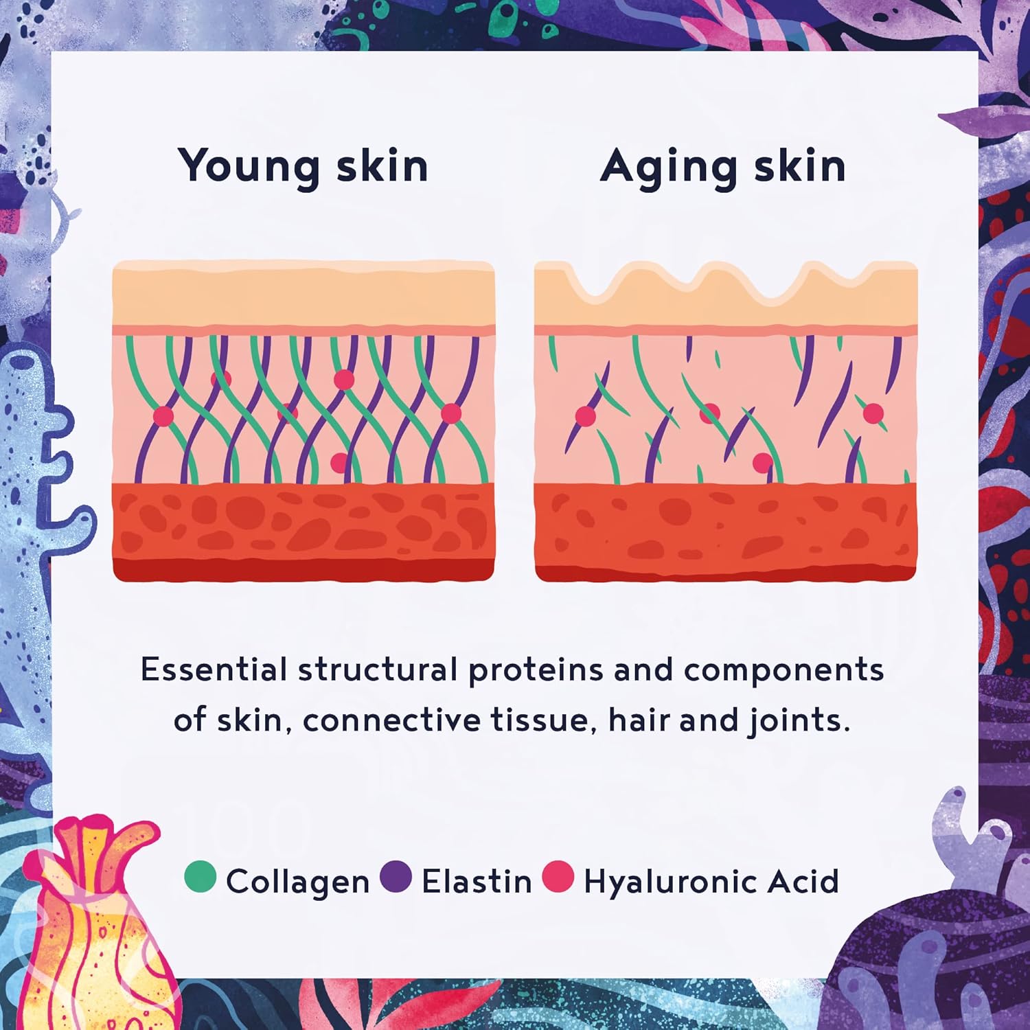 Marine Collagen & Hyaluronic Acid | 160 Capsules | Pure Hydrolyzed Collagen with Blue Spirulina & Marine Elastin | Collagen Peptides (Type I, II, III & IV) | Skin, Hair & Nails | Alpha Foods - Image 5