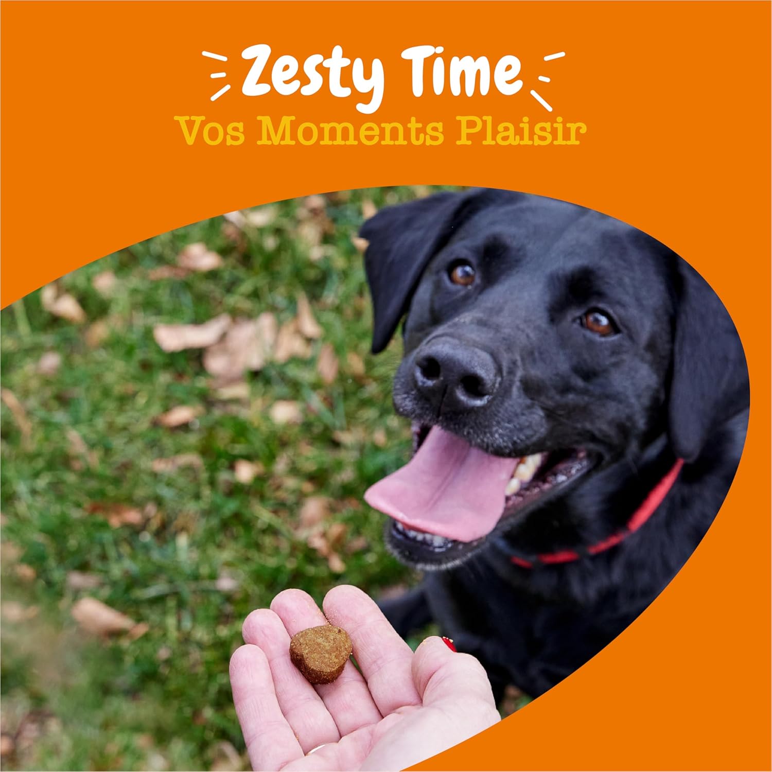 Zesty Paws Dog Probiotic Bites | Supports Digestion, Intestinal Balance, Immune System | Prebiotics, Probiotics, Postbiotics | Daily Use | 90 Bites - Image 10