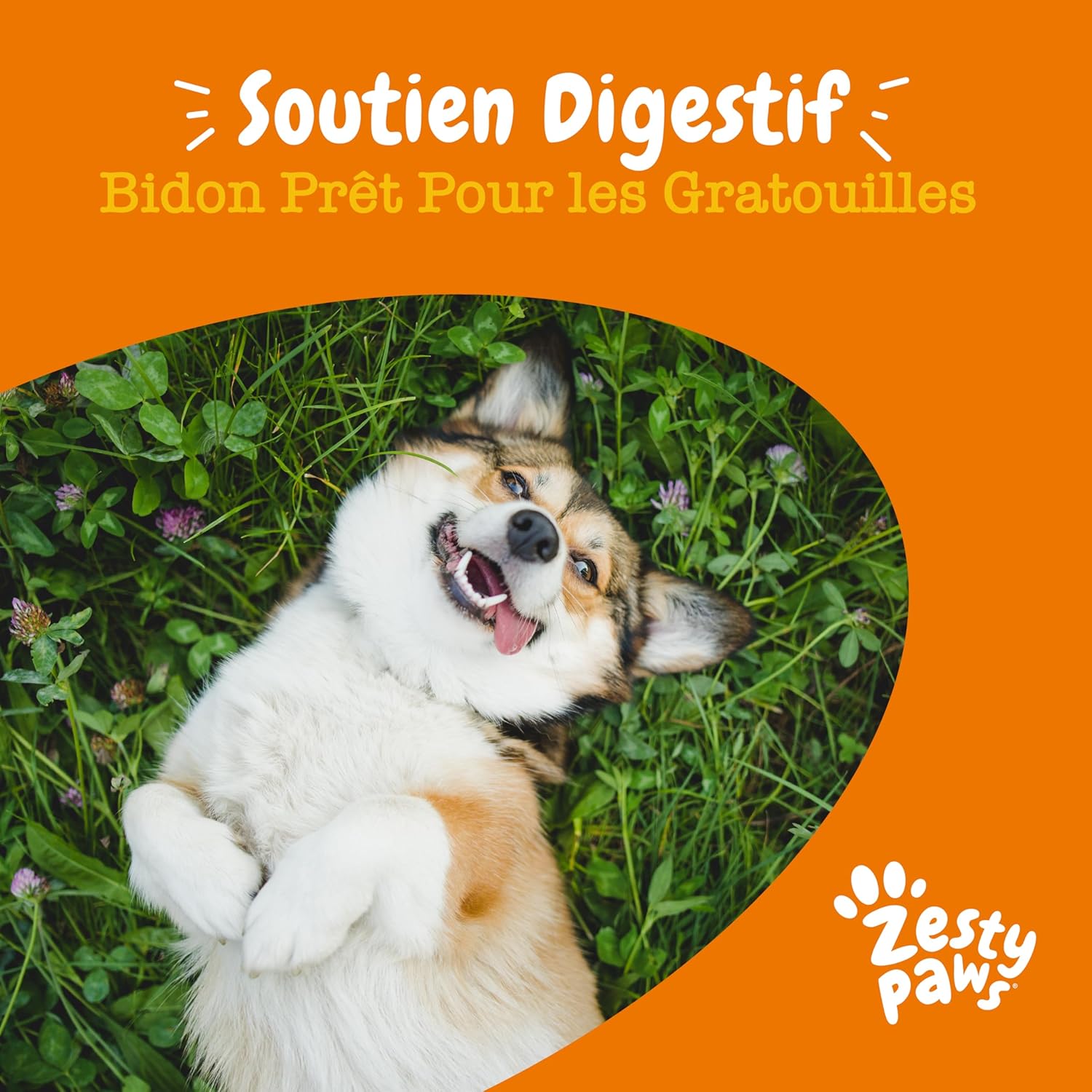 Zesty Paws Dog Probiotic Bites | Supports Digestion, Intestinal Balance, Immune System | Prebiotics, Probiotics, Postbiotics | Daily Use | 90 Bites - Image 12