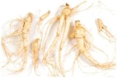 Ginseng - Panax Ginseng - Powder - Root - 125g - Image 3