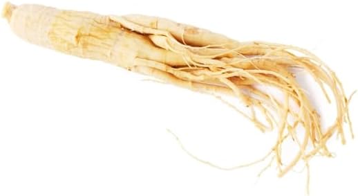 Ginseng - Panax Ginseng - Powder - Root - 125g - Image 4
