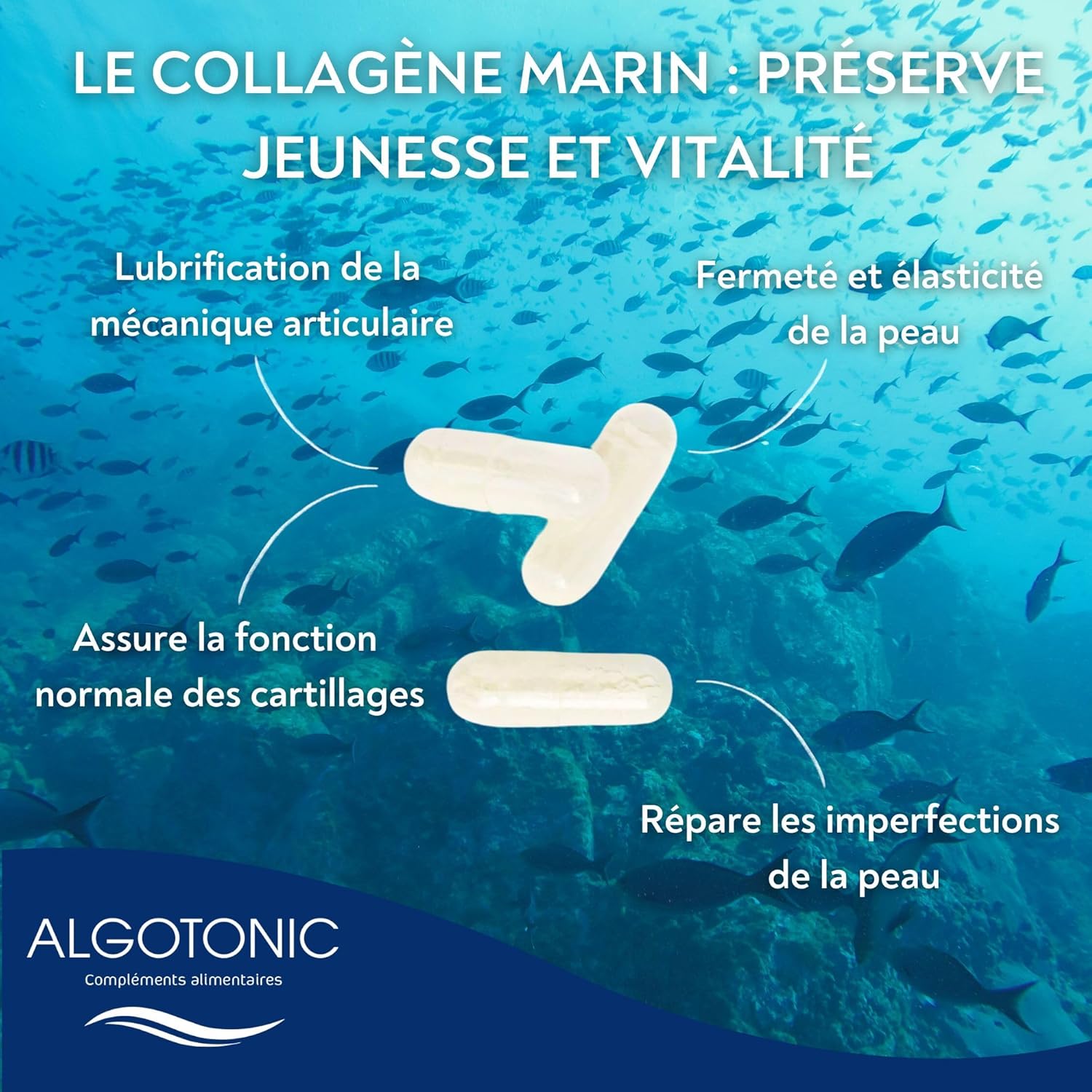 Hydrolyzed Marine Collagen + Vitamin C - 75 Capsules - 1020 mg/day - 25 day course - Type I and III - Skin, Cartilage, Bones and Muscles - Image 3