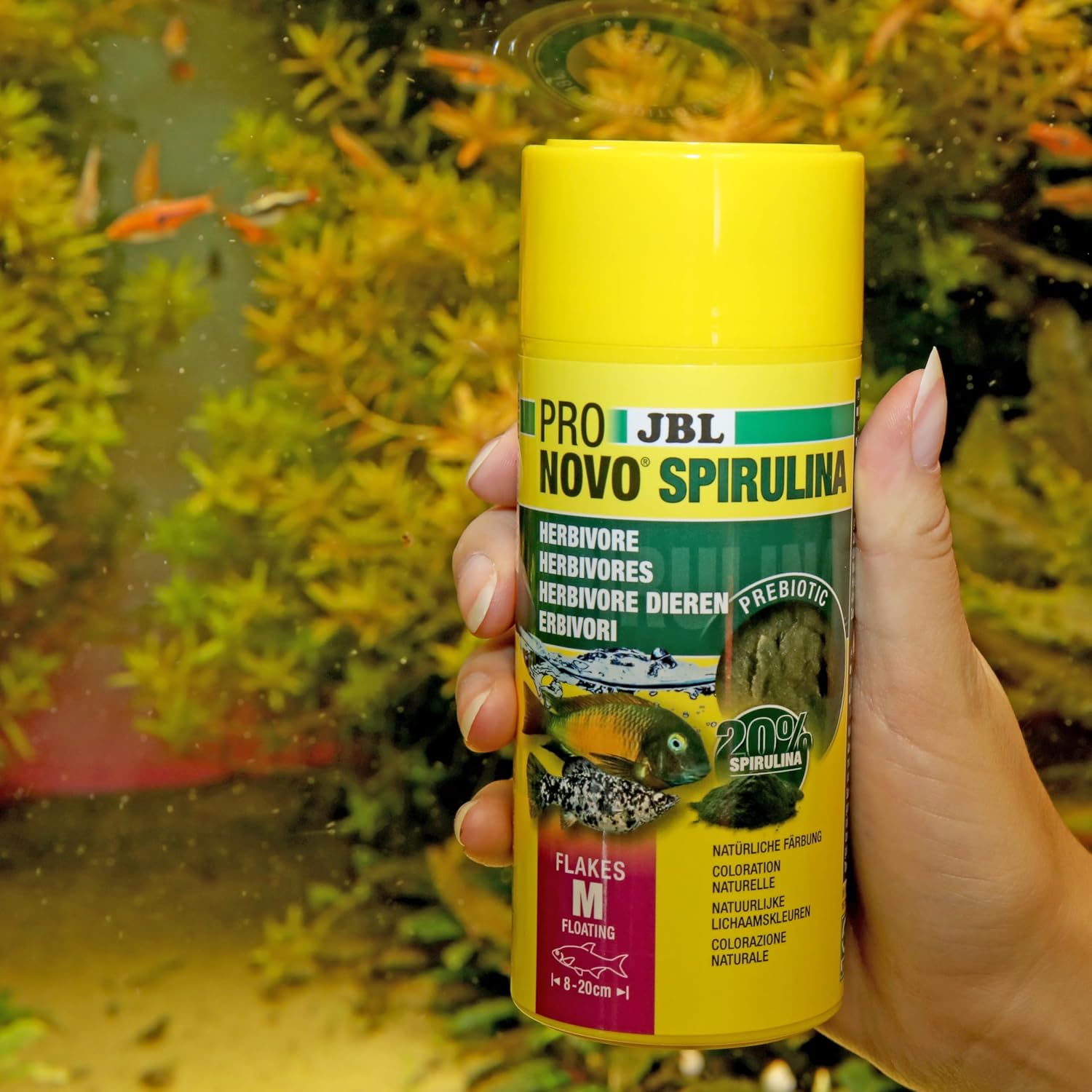 JBL PRONOVO SPIRULINA FLAKES M 250ml - Image 6