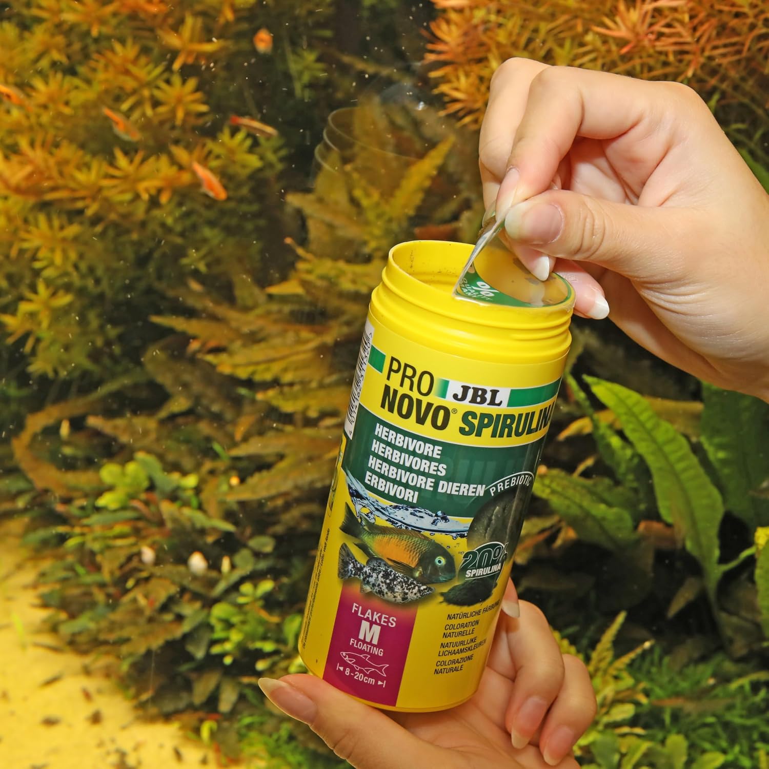 JBL PRONOVO SPIRULINA FLAKES M 250ml - Image 8
