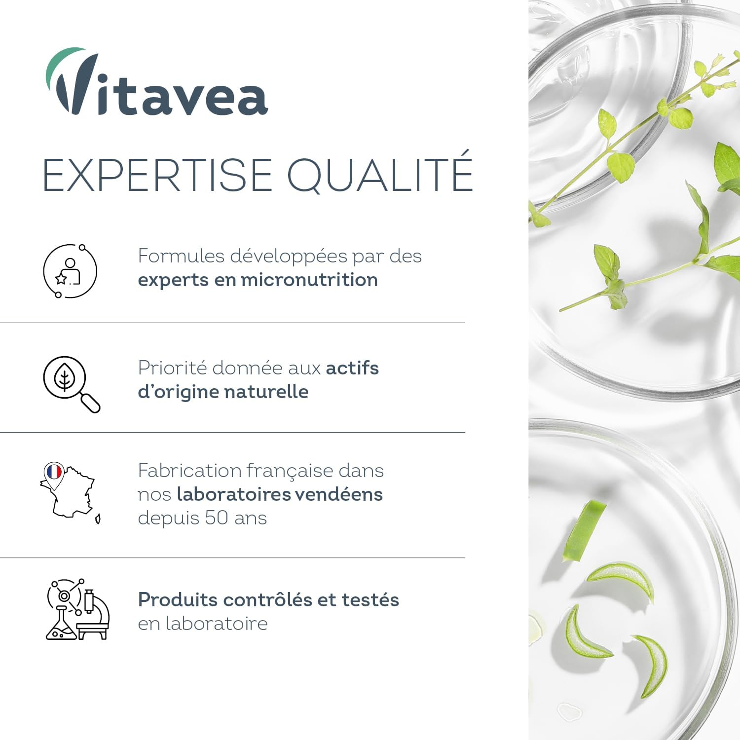 Vitavea Wellness – Vegetable Charcoal 1000 mg – Digestive Comfort Food Supplement – Bloating, Intestinal Gas, Digestive Wellness – 40 Capsules – 14 Day Treatment – Made in France - Image 6