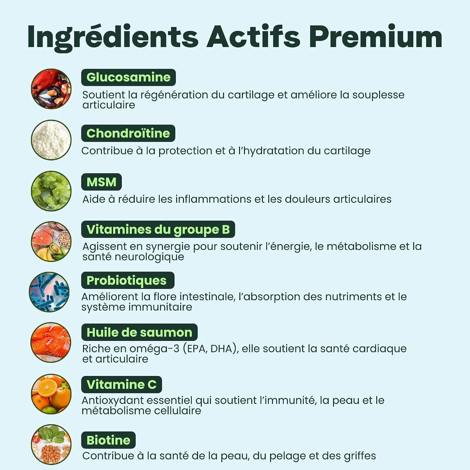 BESTI - 8 in 1 | 120 Premium Multi-Vit Dog Food Supplements | Vitality, Probiotics, Joints, Coat, Heart, Brain | French Brand - Veterinary Formula | Chicken | 300g - Image 4
