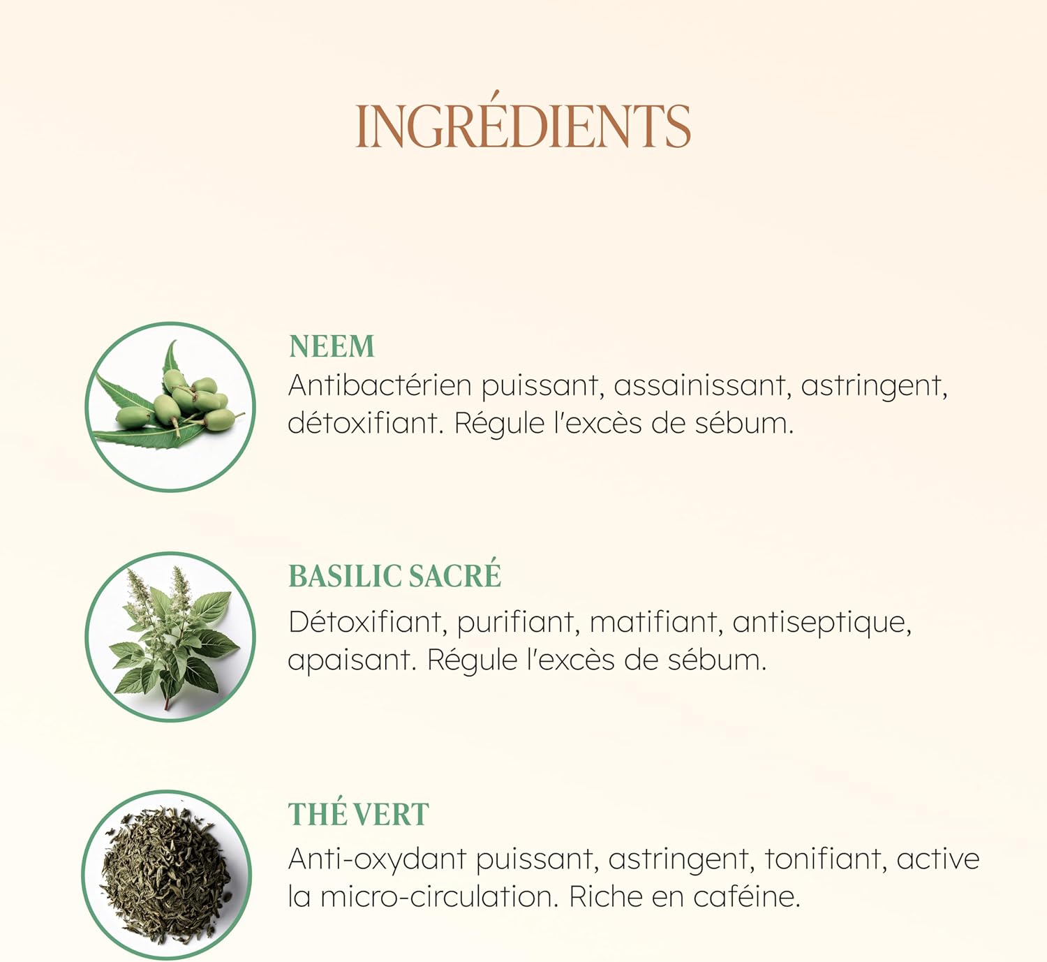 TAAJ | Detox Purifying Mask - JAÏPURE | Purifies, Clarifies & Tones | Antioxidant & Purifying Active | Replenishes Fabrics | Tightens Pores | Fresh & Radiant Complexion | Vegan | 75 ml - Image 7