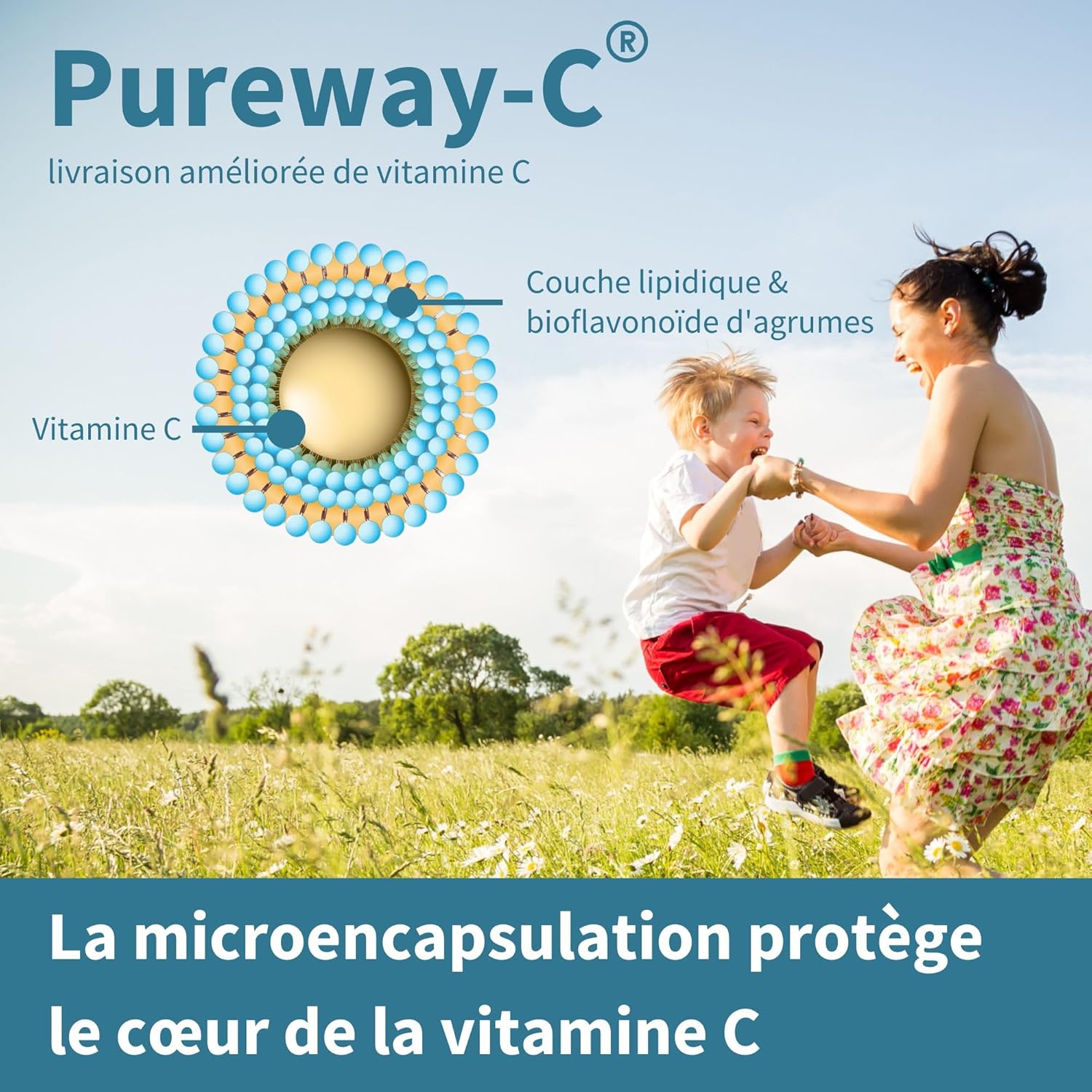 Super Vitamin C Complex, Vitamin C Complex 1000mg, Pureway-C with Citrus Bioflavonoids, High Dose for 24 Hours Immune Support, Vegan, 60 Tablets - Image 4