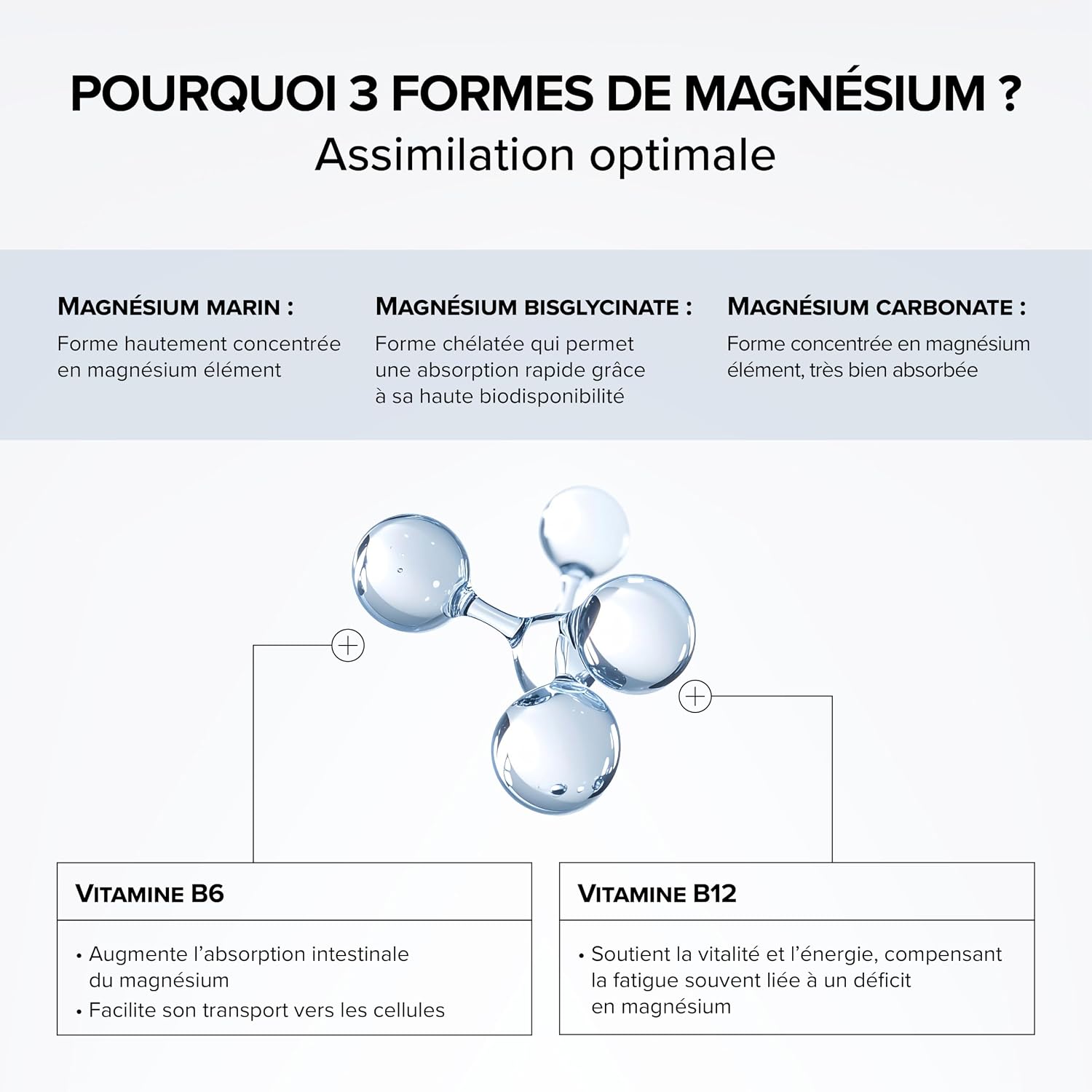 Magnesium Bisglycinate + Vitamin B6 - Enriched with Marine Magnesium & Carbonate - Extended Release - Fatigue, Stress - 60 Vegetable Capsules - Vegan - Beyond Elements - Image 4