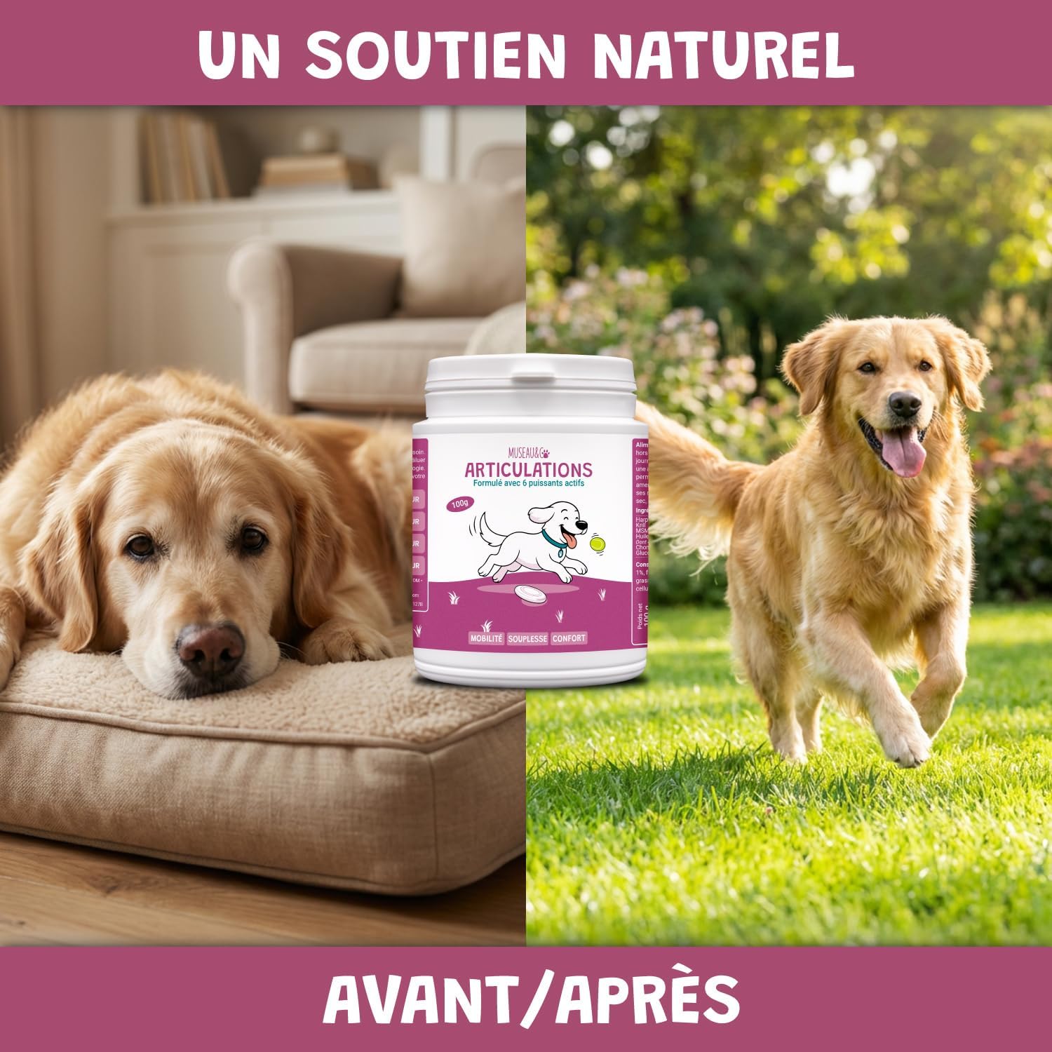 Joints for Dogs and Cats - Anti-Arthrosis Food Supplement - Harpagophytum Glucosamine Chondroitin MSM Krill - Mobility & Flexibility - Formulated by Veterinarians - Made in France - Image 3
