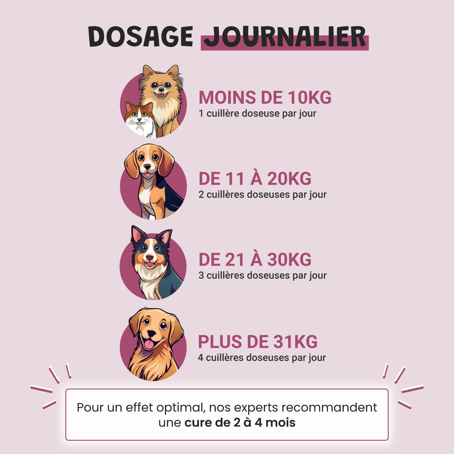 Joints for Dogs and Cats - Anti-Arthrosis Food Supplement - Harpagophytum Glucosamine Chondroitin MSM Krill - Mobility & Flexibility - Formulated by Veterinarians - Made in France - Image 6