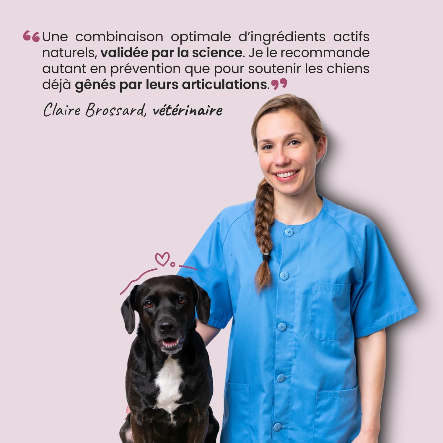 Joints for Dogs and Cats - Anti-Arthrosis Food Supplement - Harpagophytum Glucosamine Chondroitin MSM Krill - Mobility & Flexibility - Formulated by Veterinarians - Made in France - Image 9